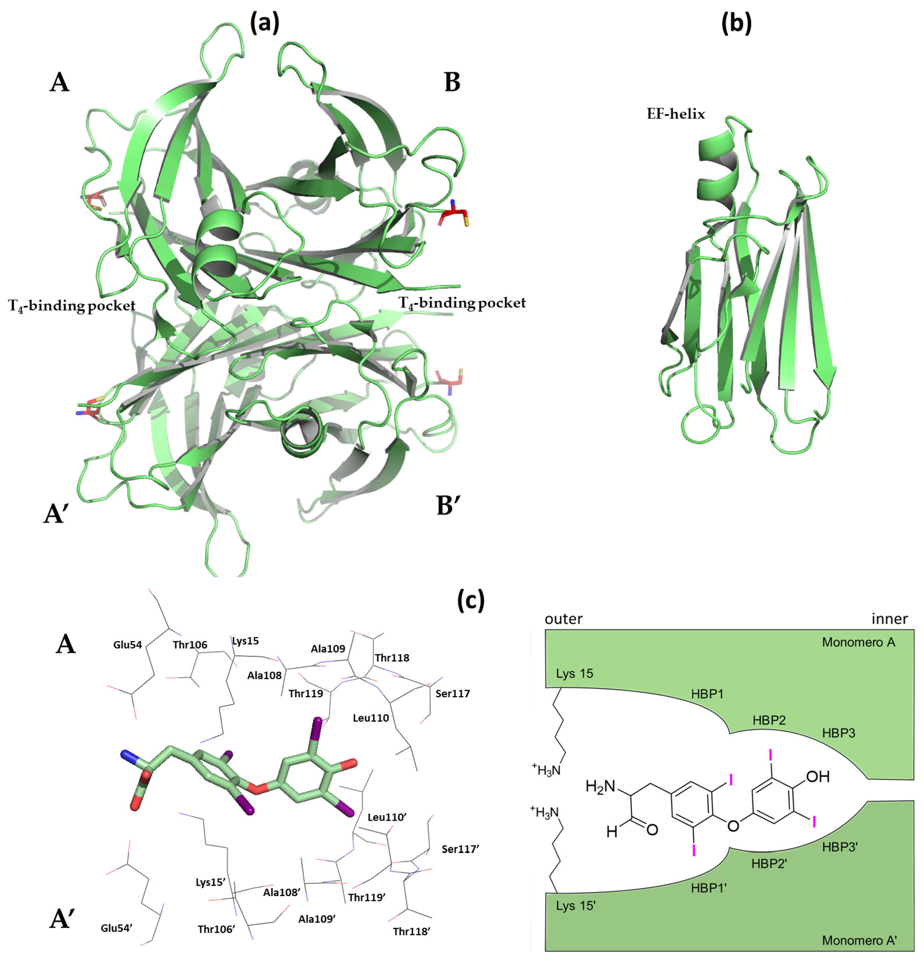 Ijms 25 09969 g001 Ijms 25 09969 g001