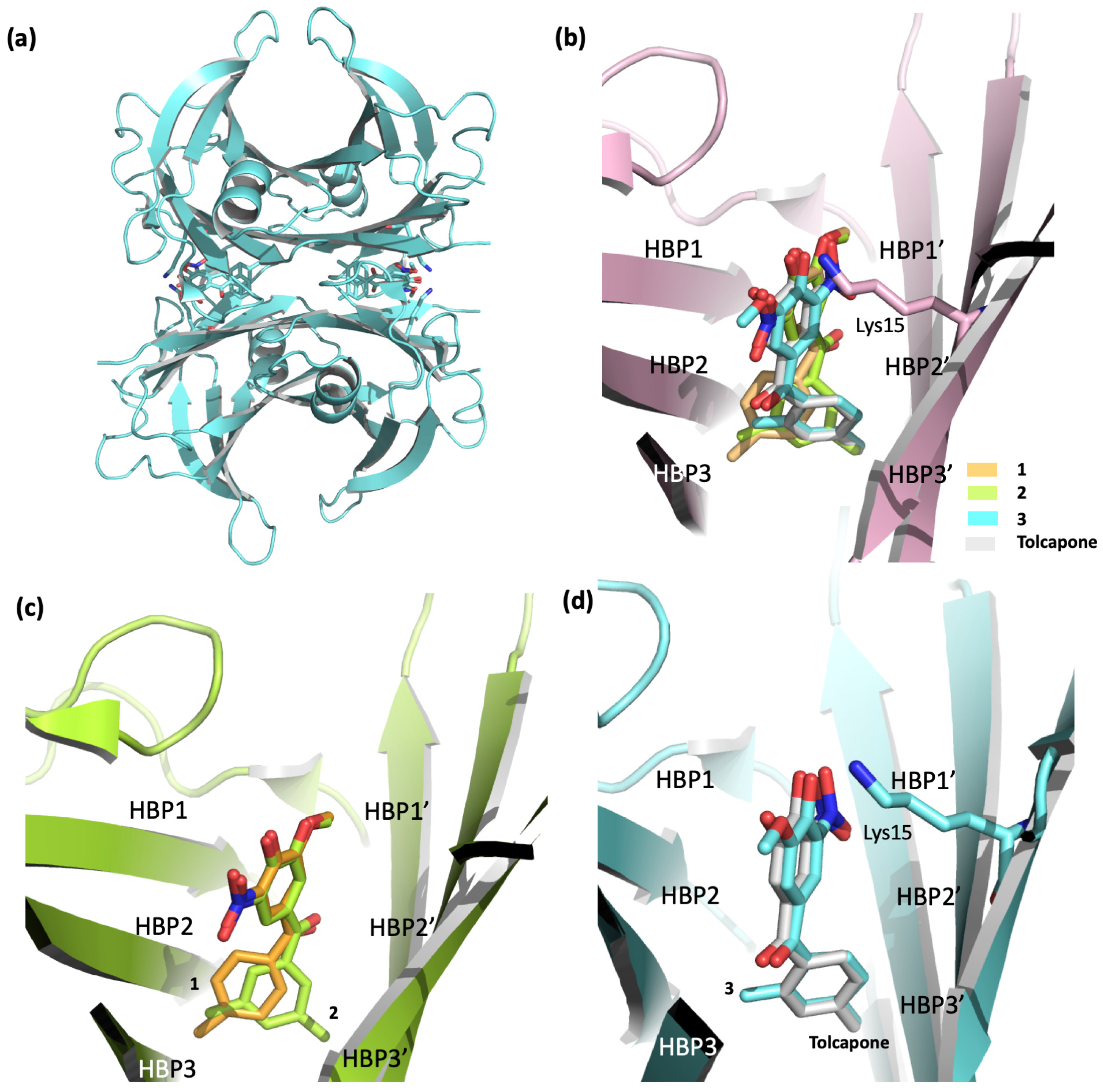 Ijms 25 09969 g005 Ijms 25 09969 g005