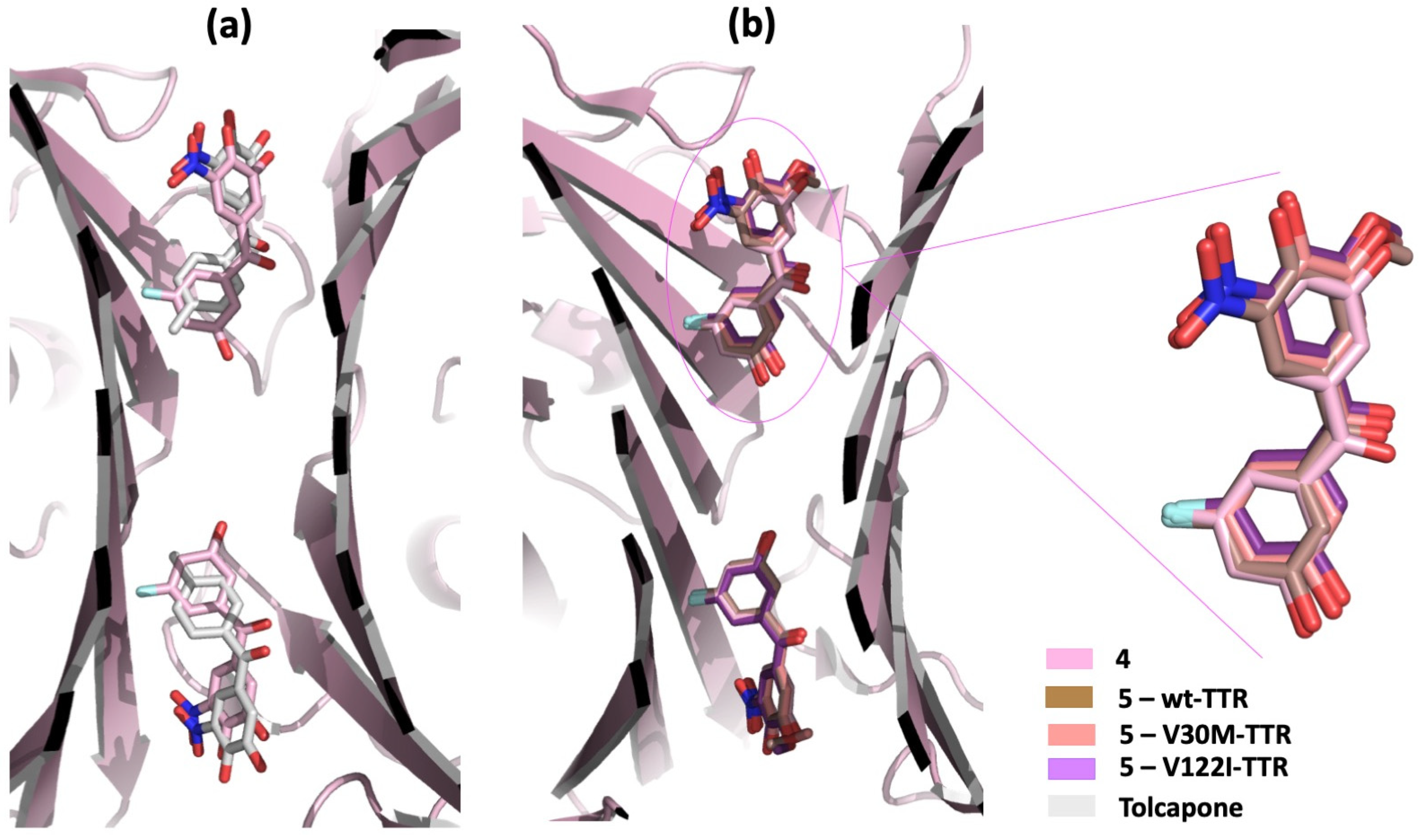 Ijms 25 09969 g006 Ijms 25 09969 g006