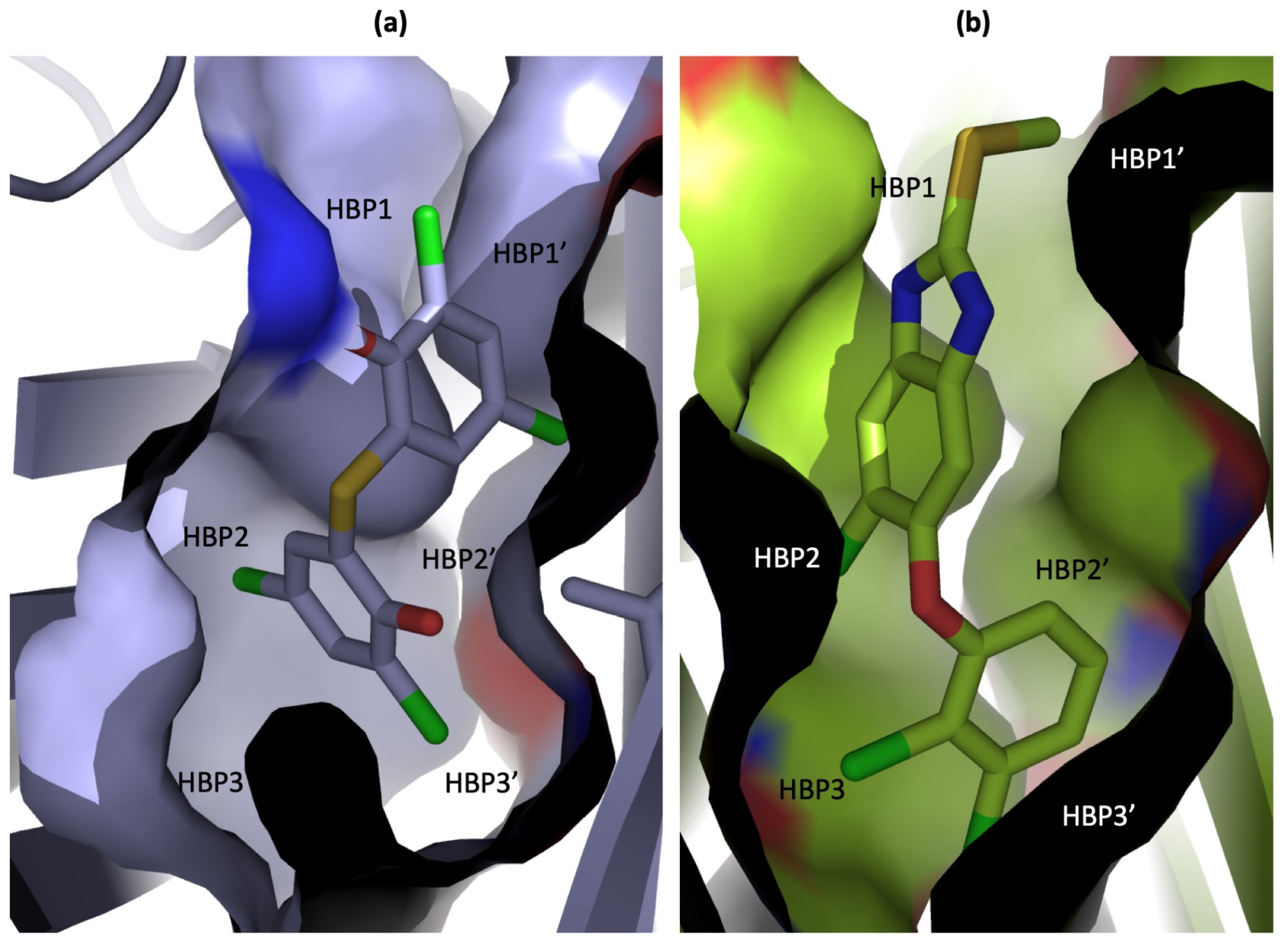 Ijms 25 09969 g009 Ijms 25 09969 g009