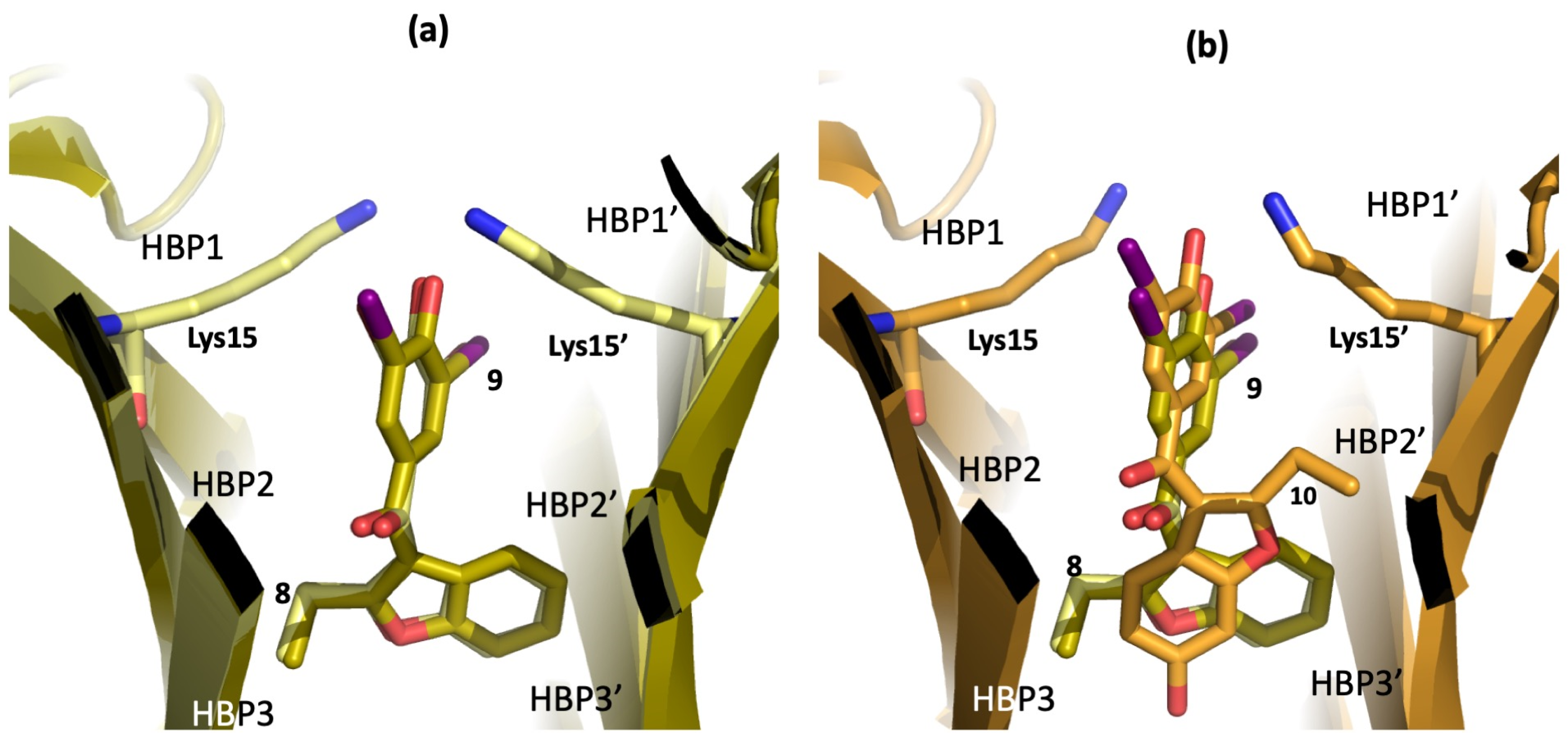 Ijms 25 09969 g011 Ijms 25 09969 g011