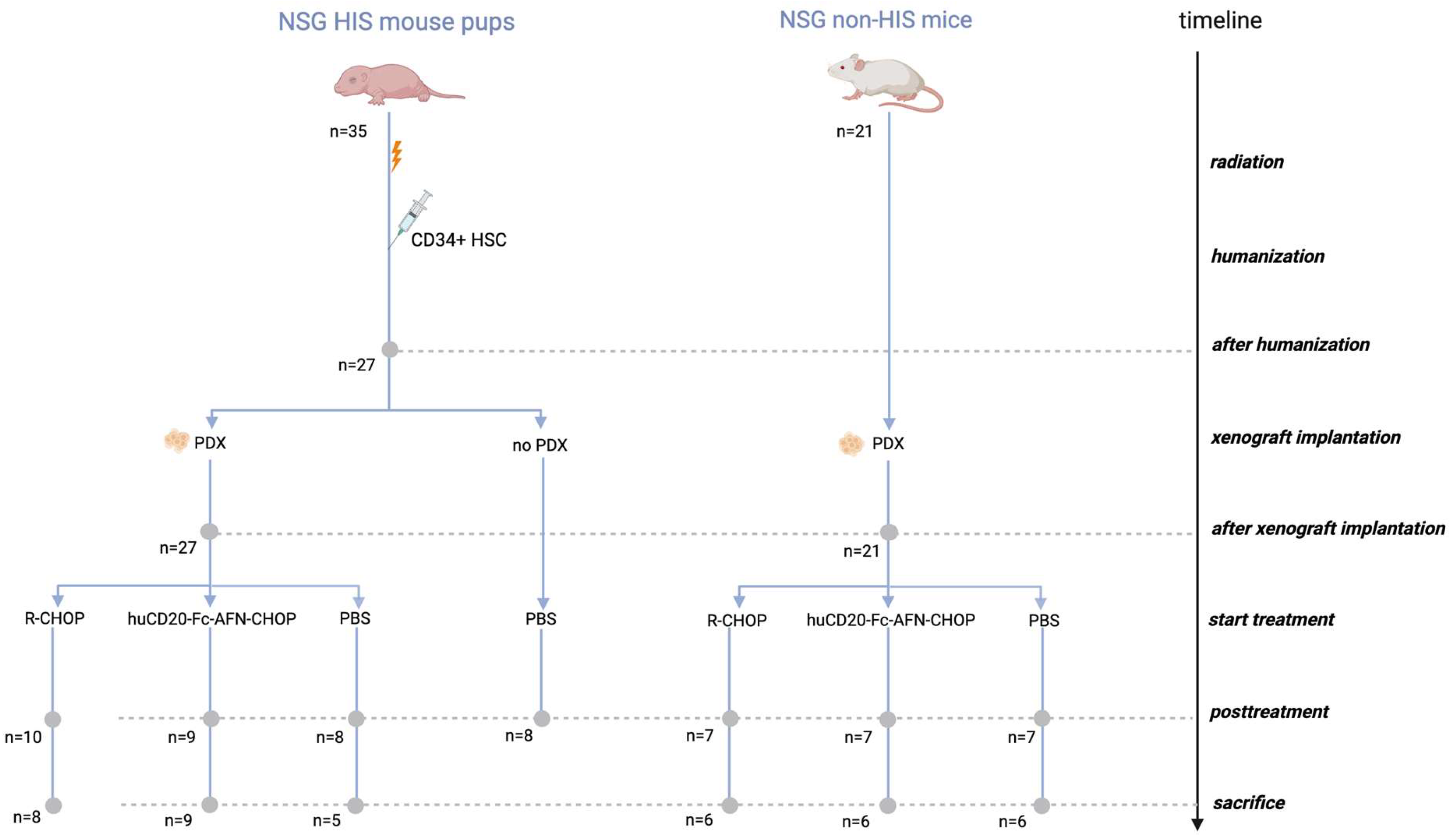 Ijms 25 09982 g001 Ijms 25 09982 g001