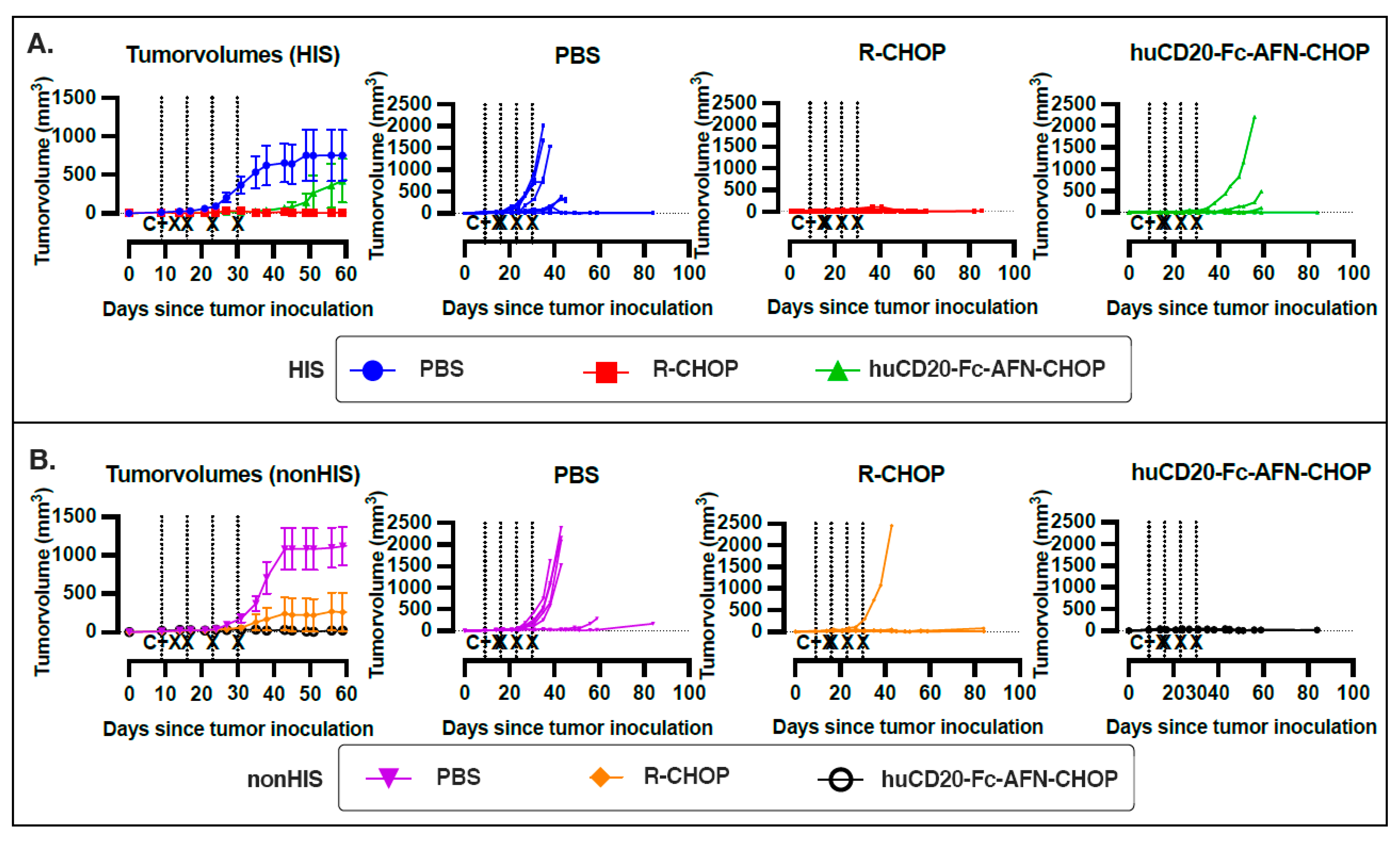 Ijms 25 09982 g002 Ijms 25 09982 g002
