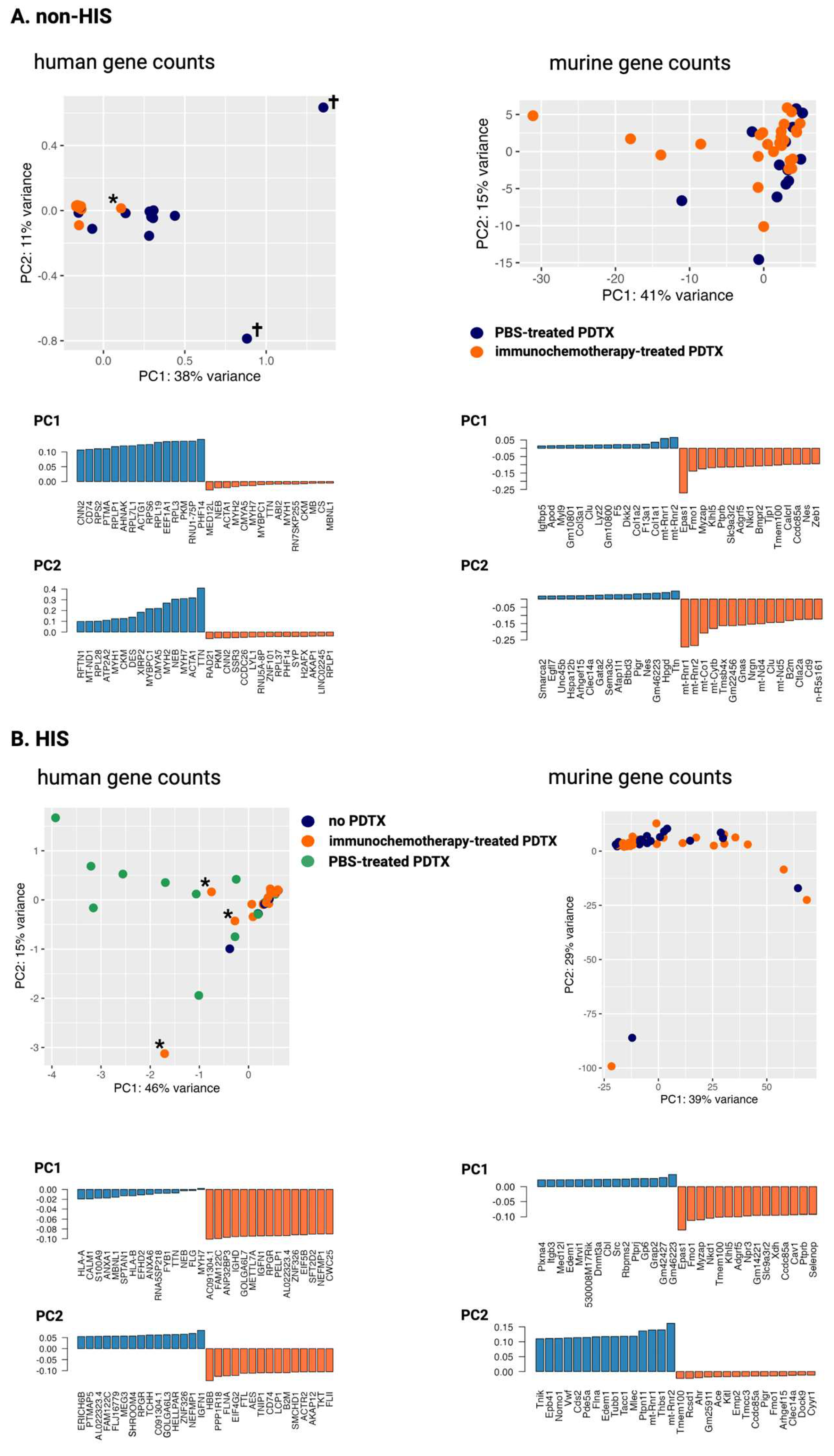 Ijms 25 09982 g005 Ijms 25 09982 g005