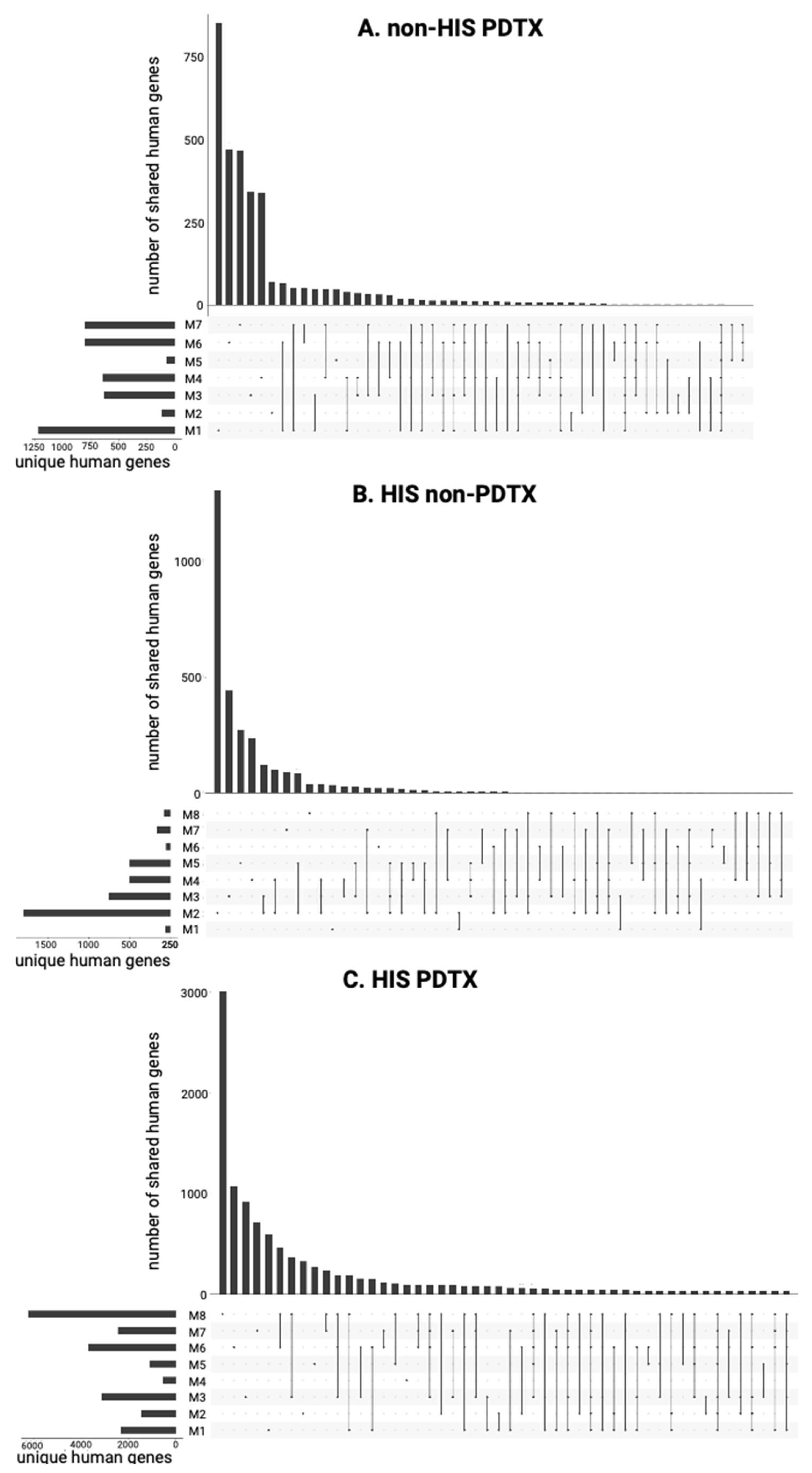 Ijms 25 09982 g007 Ijms 25 09982 g007