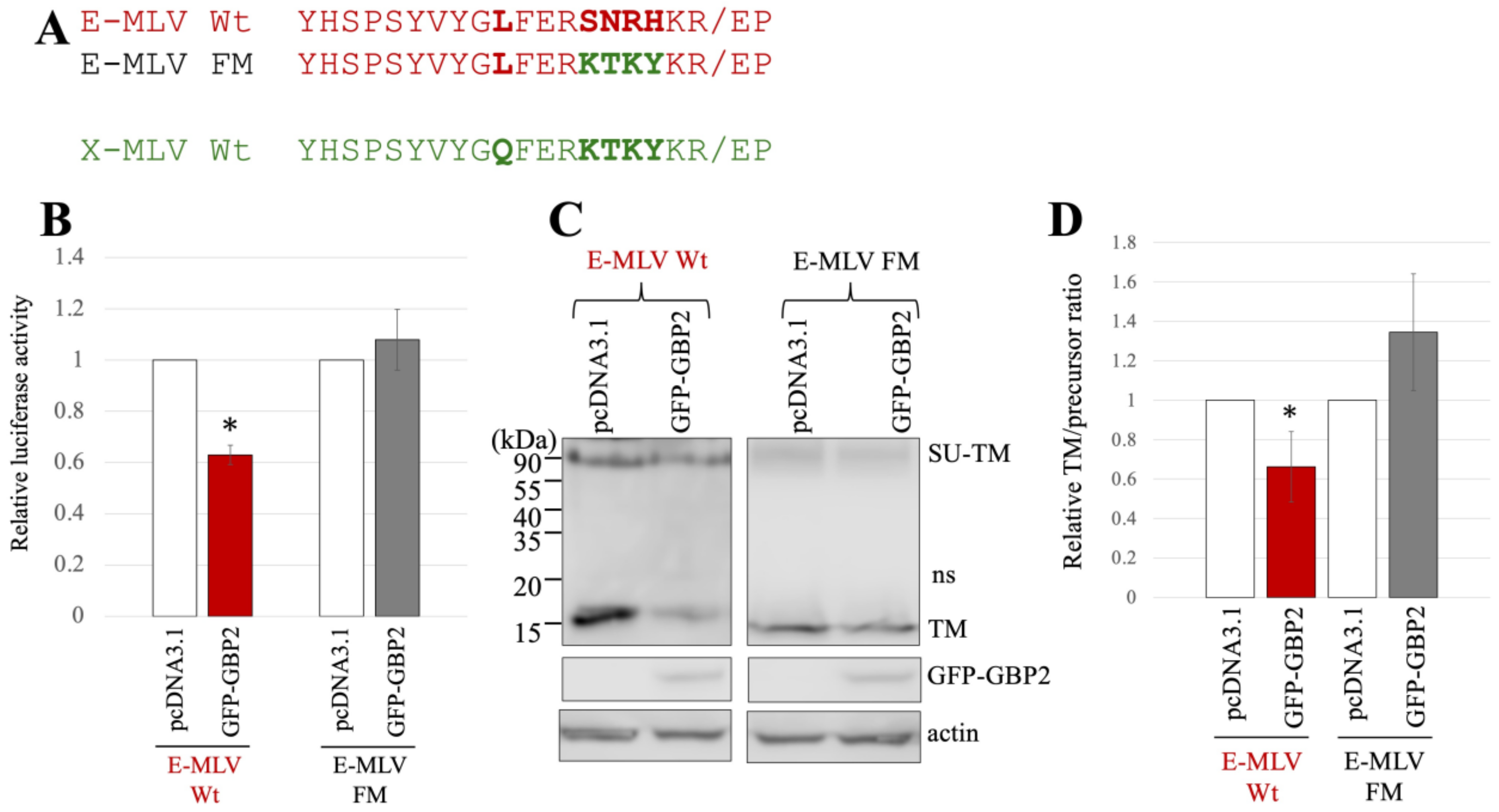 Ijms 25 09987 g003 Ijms 25 09987 g003