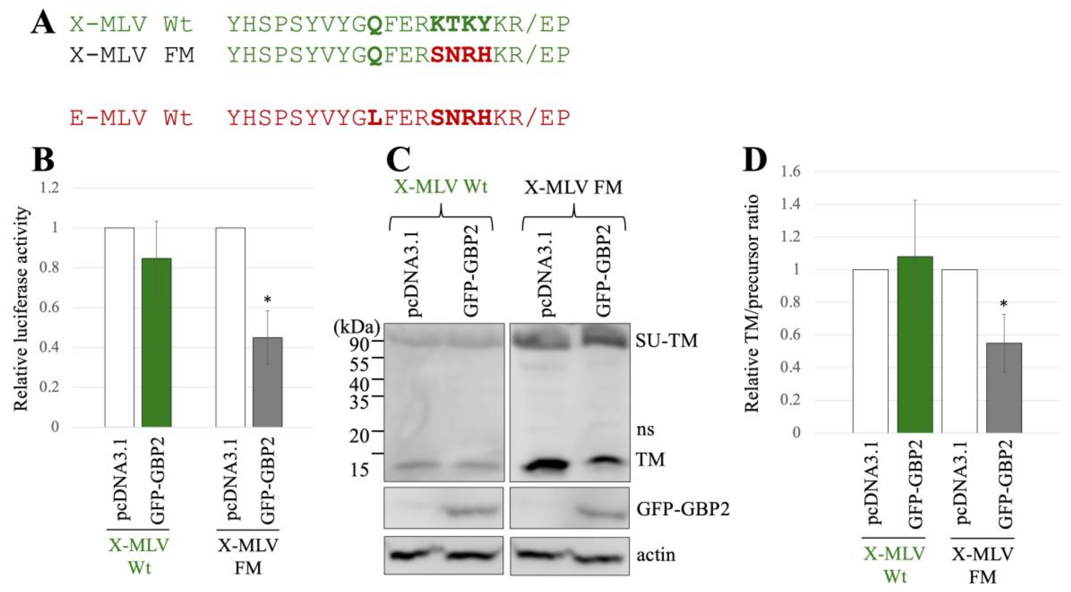 Ijms 25 09987 g004 Ijms 25 09987 g004