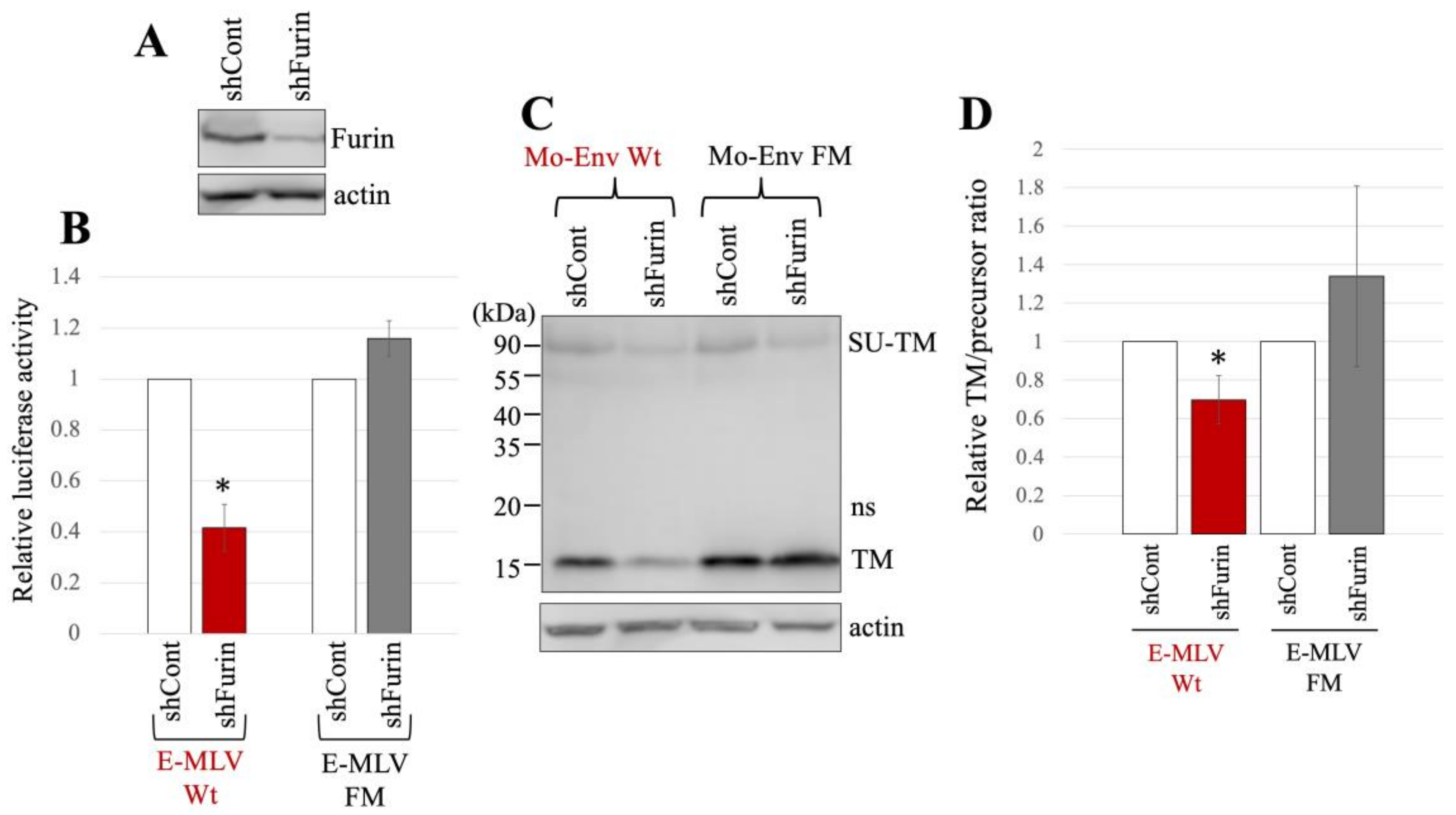 Ijms 25 09987 g005 Ijms 25 09987 g005