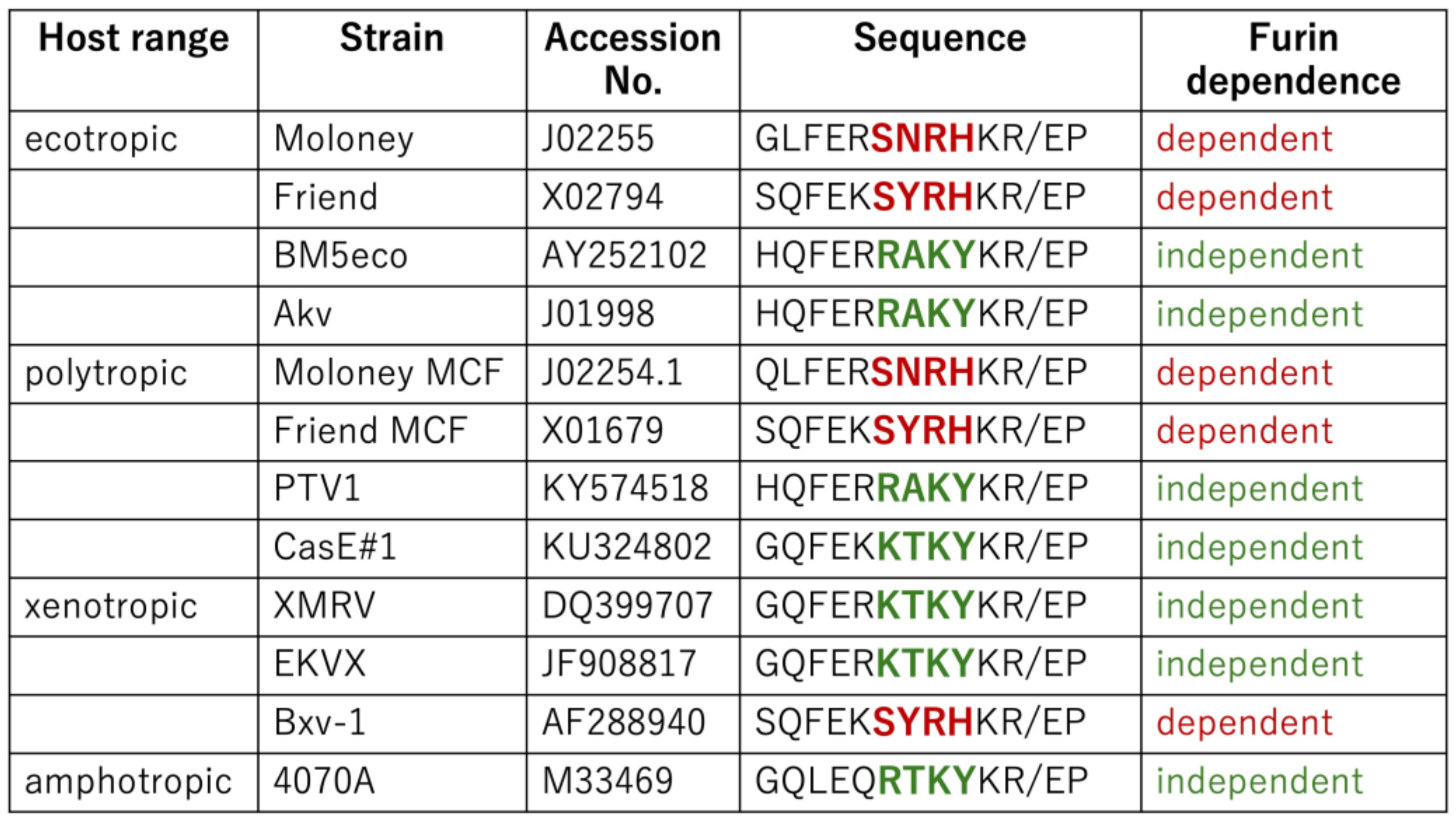 Ijms 25 09987 g007 Ijms 25 09987 g007