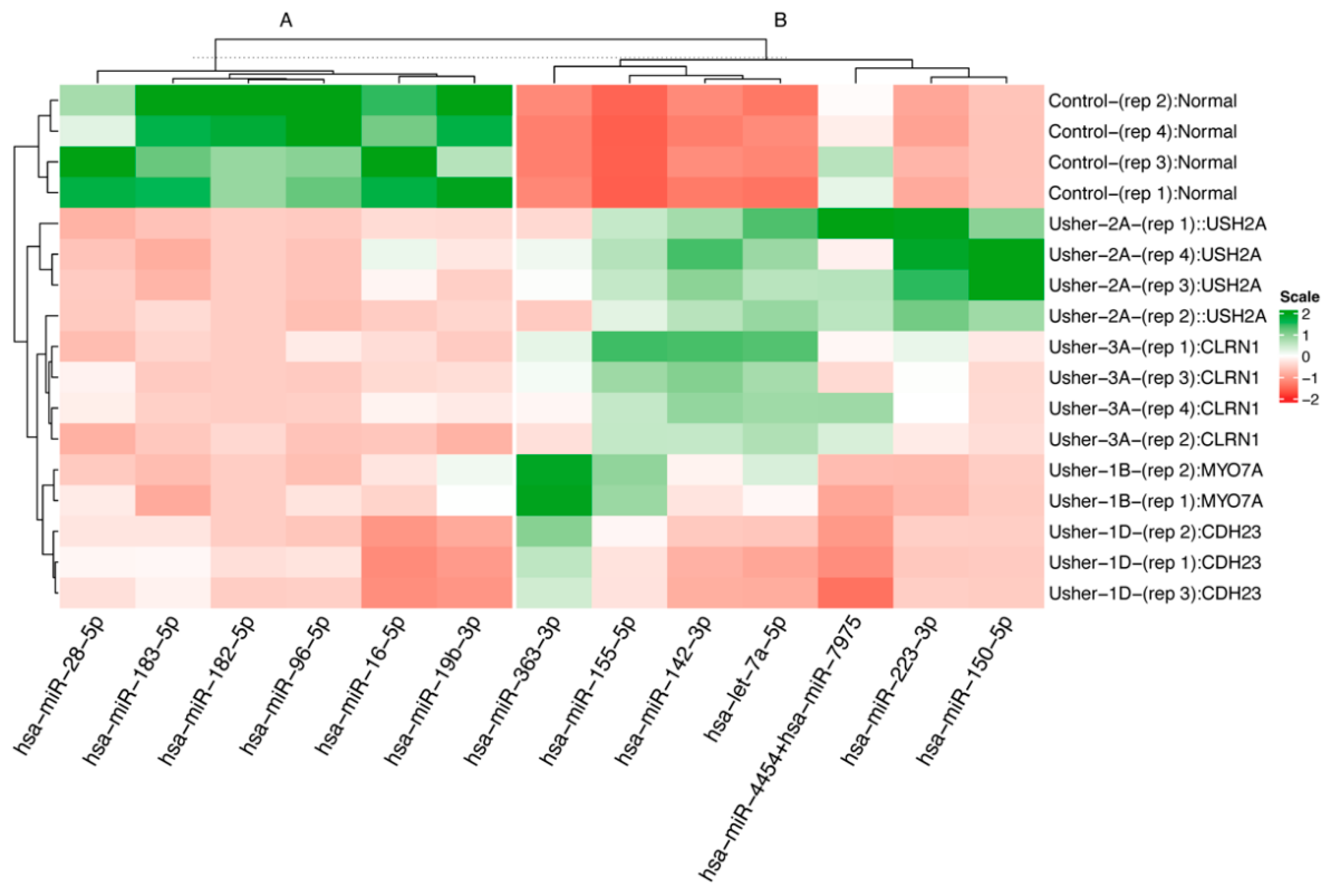 Ijms 25 09993 g003 Ijms 25 09993 g003