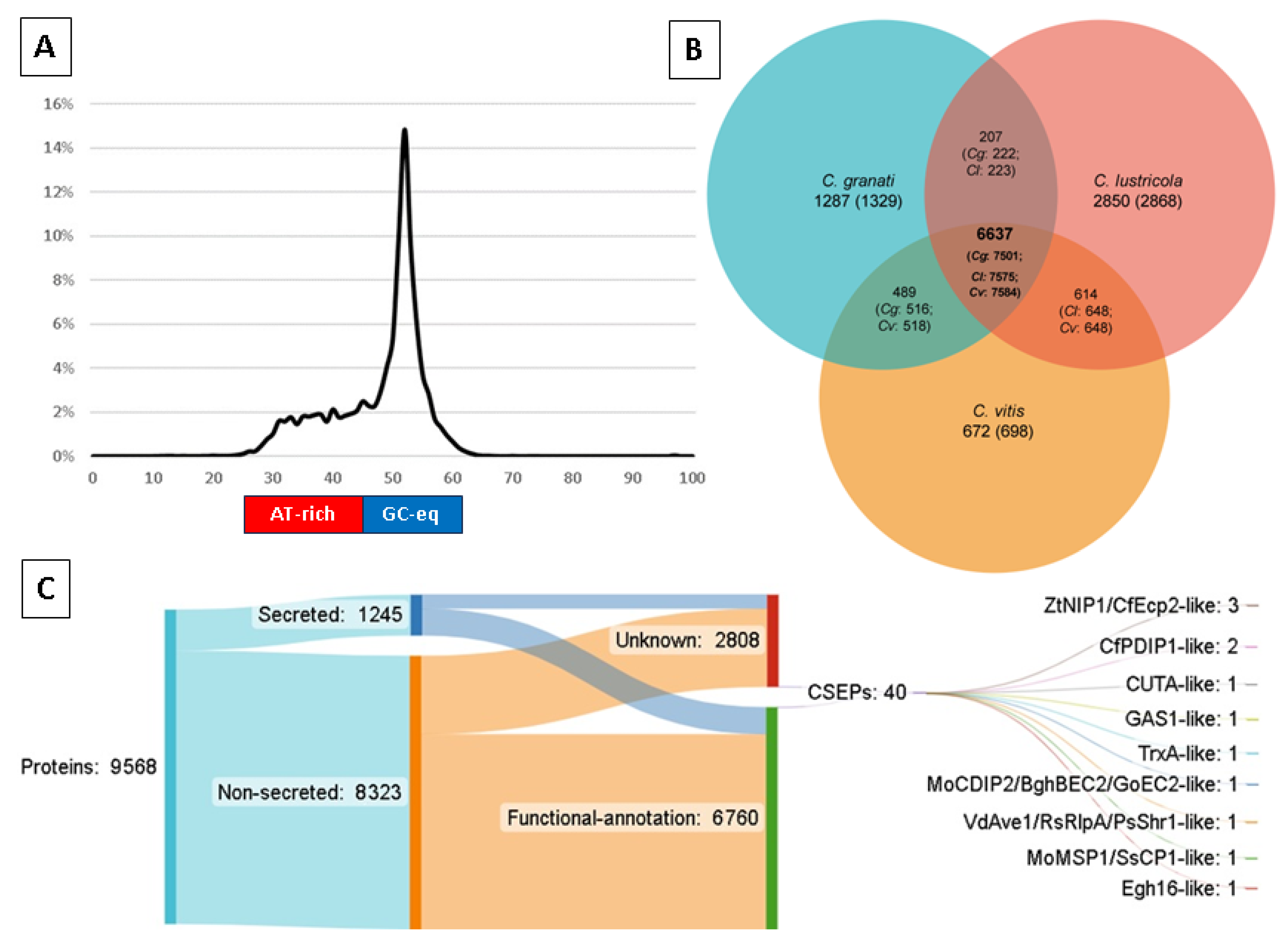 Ijms 25 09997 g001 Ijms 25 09997 g001