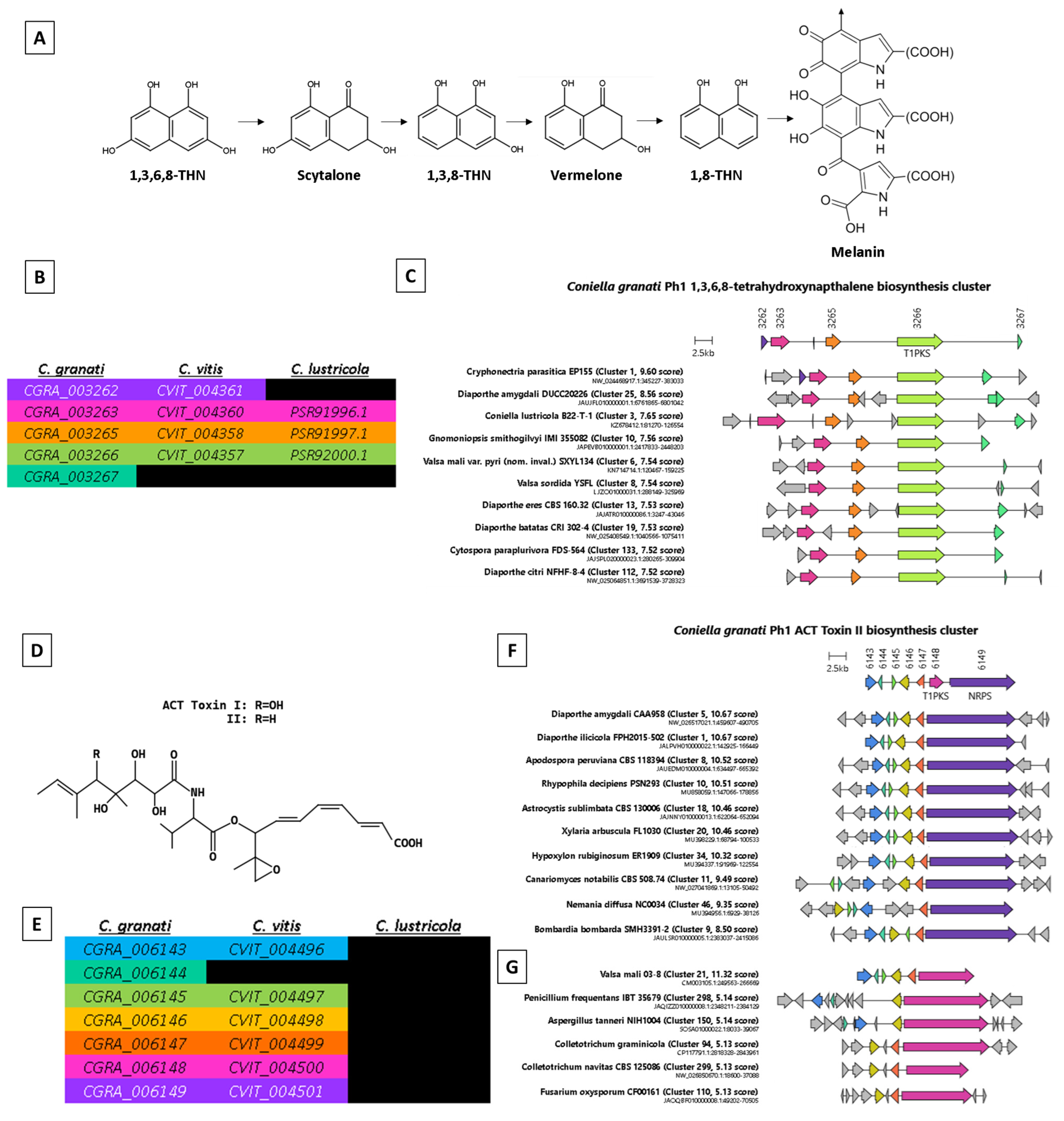 Ijms 25 09997 g002 Ijms 25 09997 g002