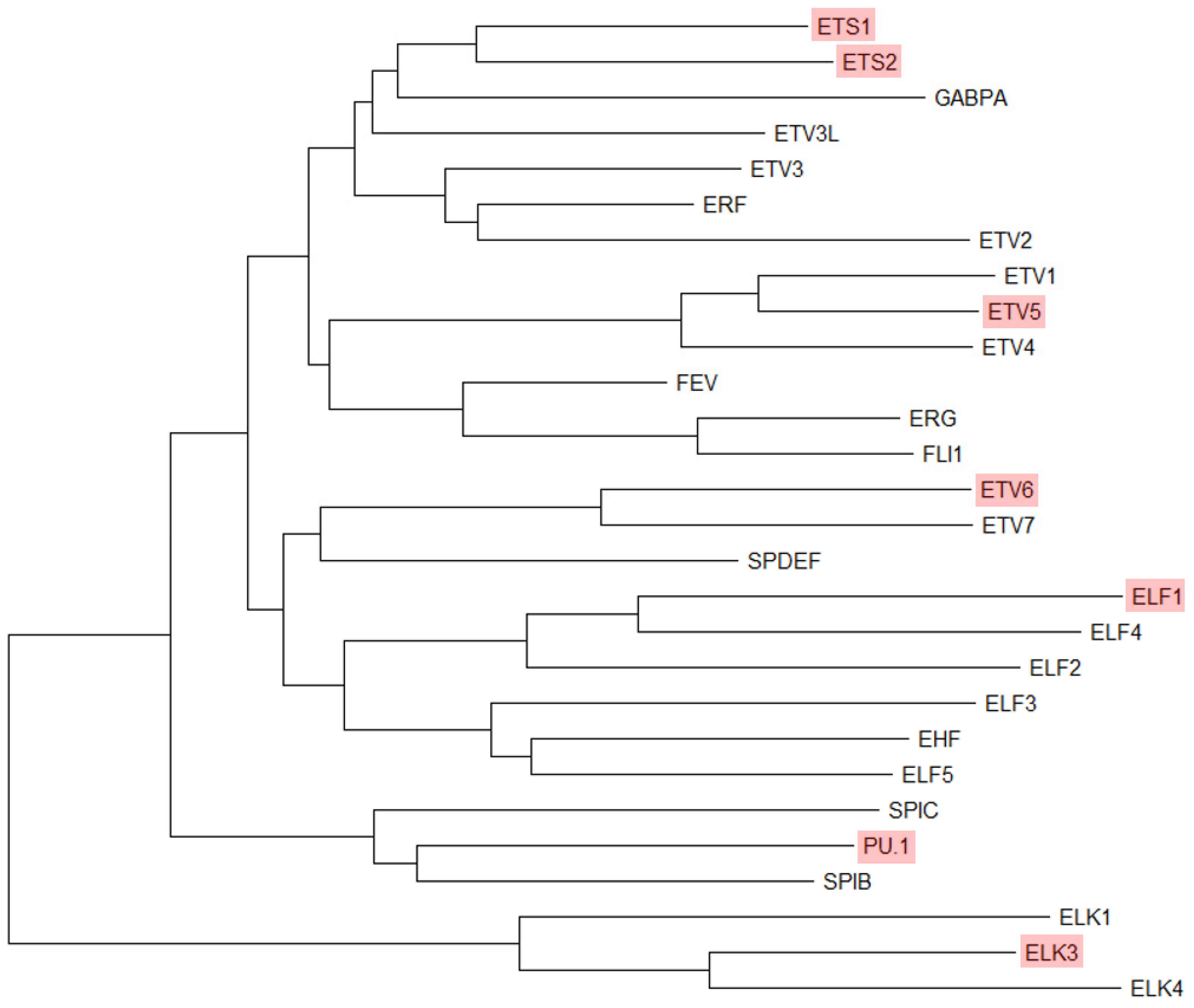 Ijms 25 10004 g001 Ijms 25 10004 g001