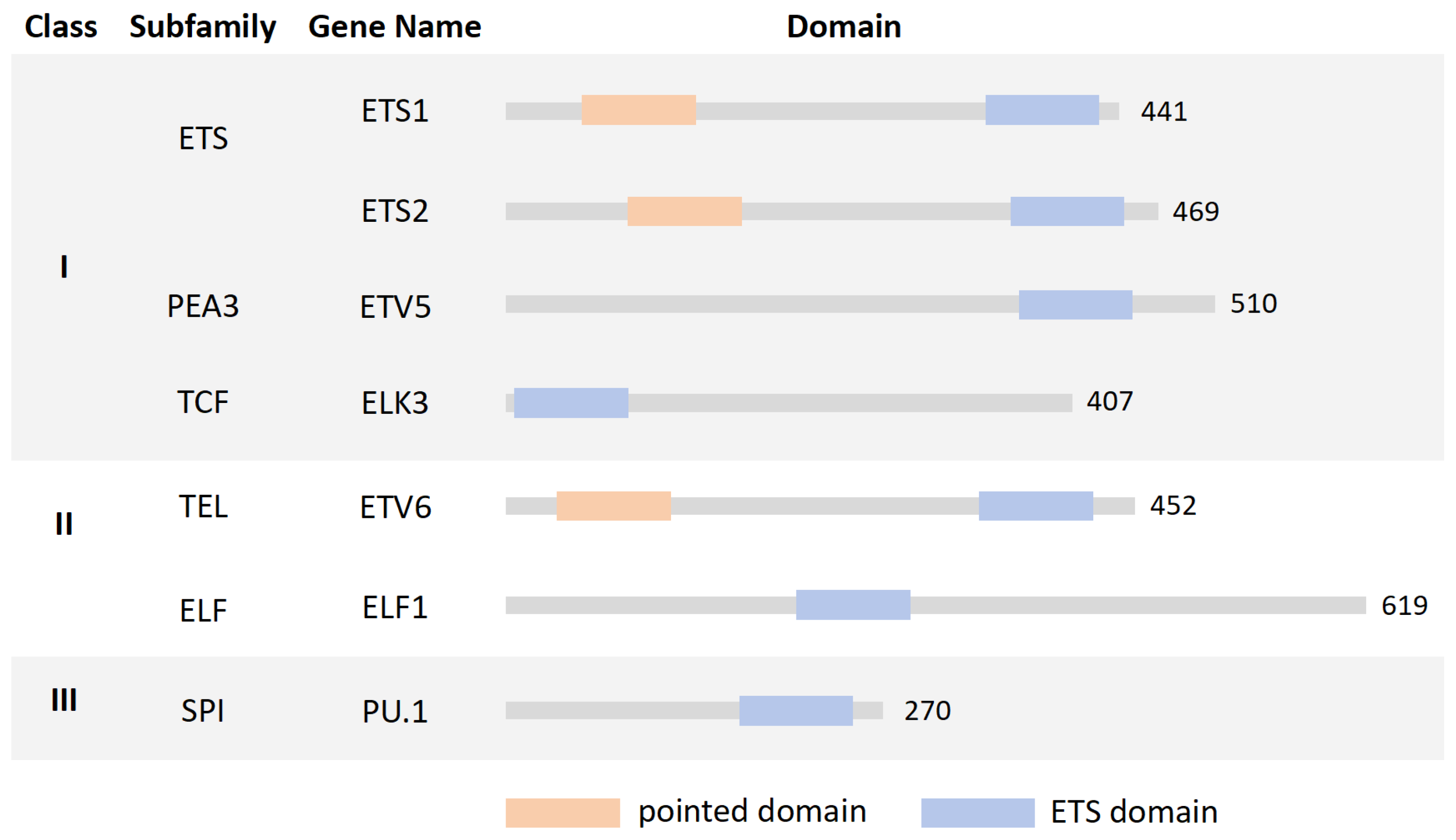 Ijms 25 10004 g002 Ijms 25 10004 g002