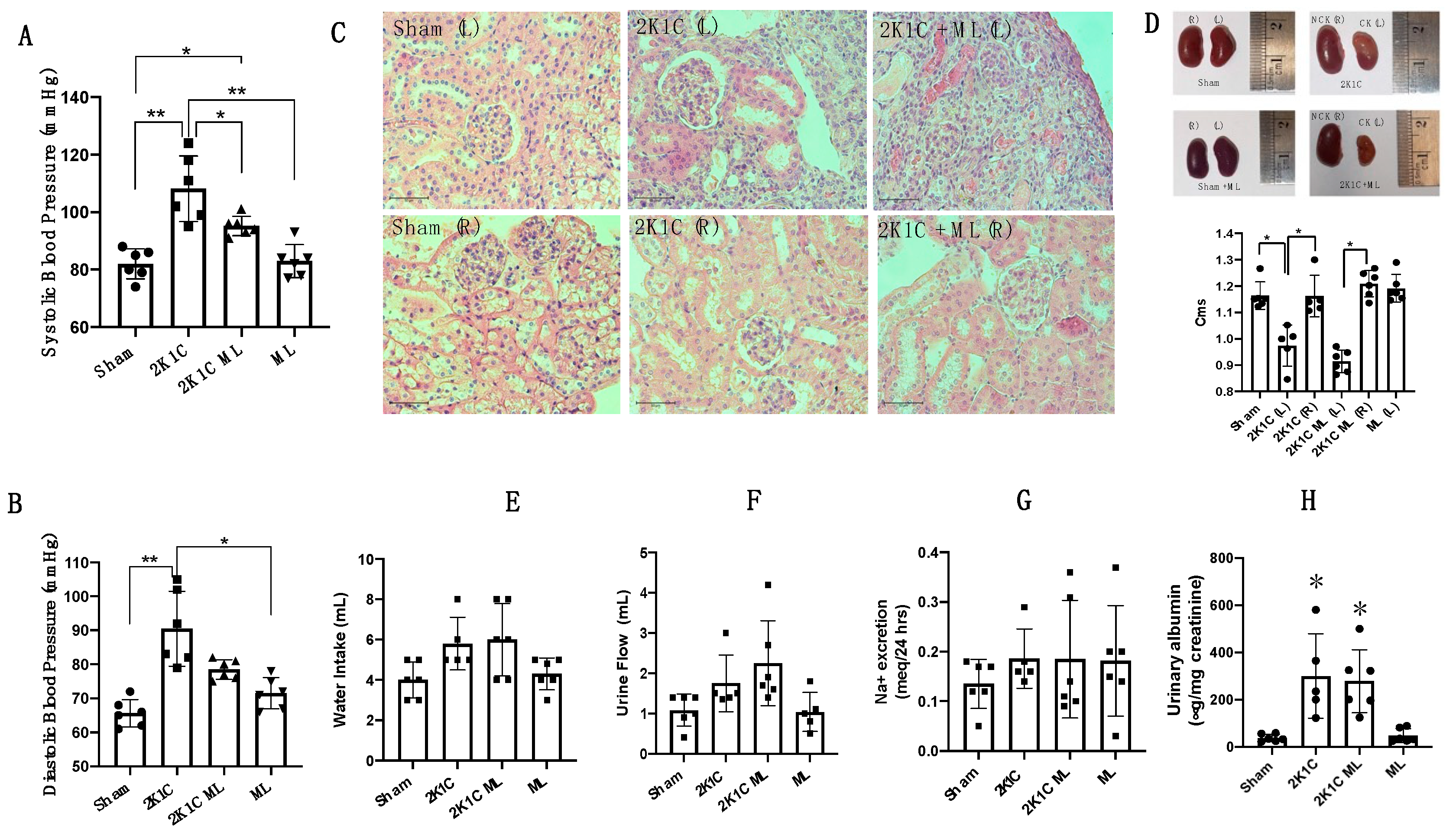 Ijms 25 10045 g002 Ijms 25 10045 g002
