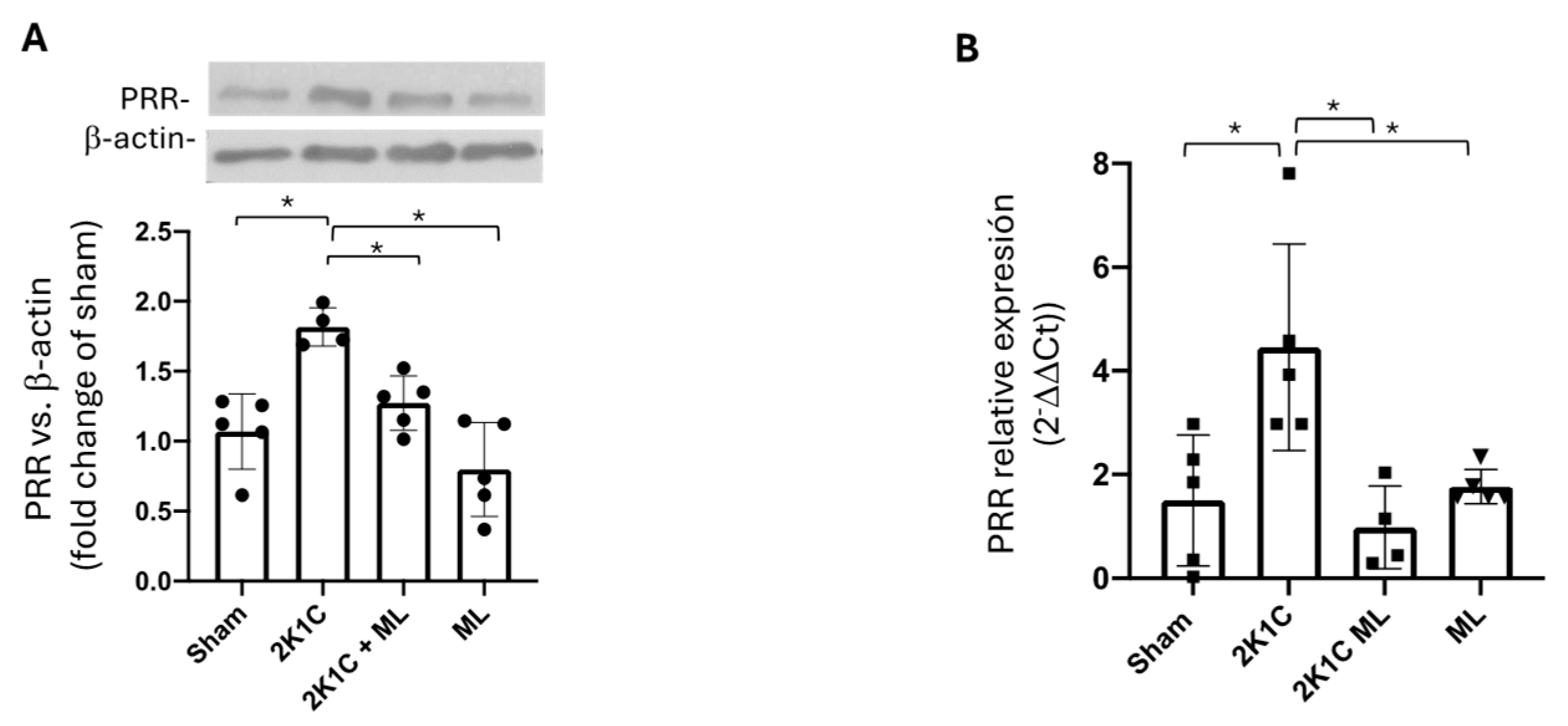 Ijms 25 10045 g003 Ijms 25 10045 g003