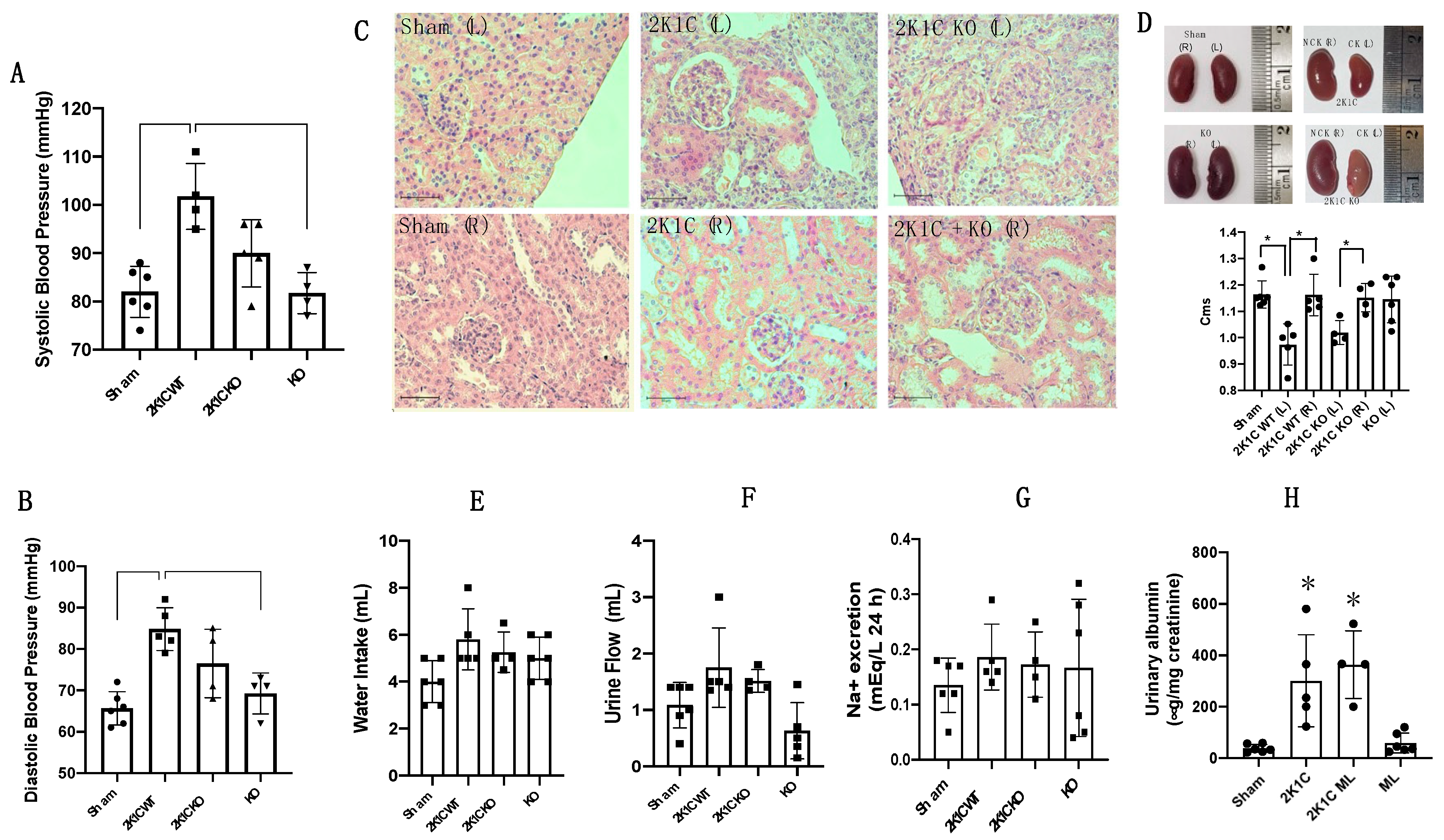 Ijms 25 10045 g005 Ijms 25 10045 g005