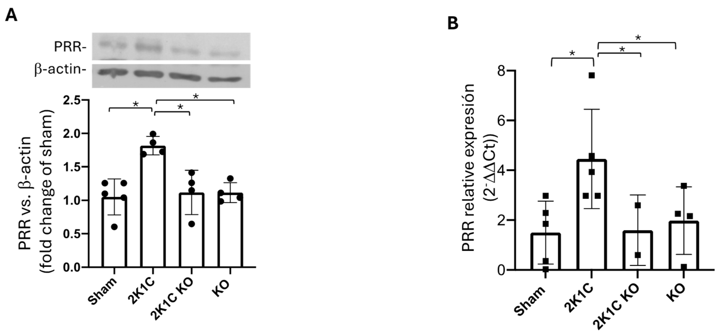 Ijms 25 10045 g006 Ijms 25 10045 g006