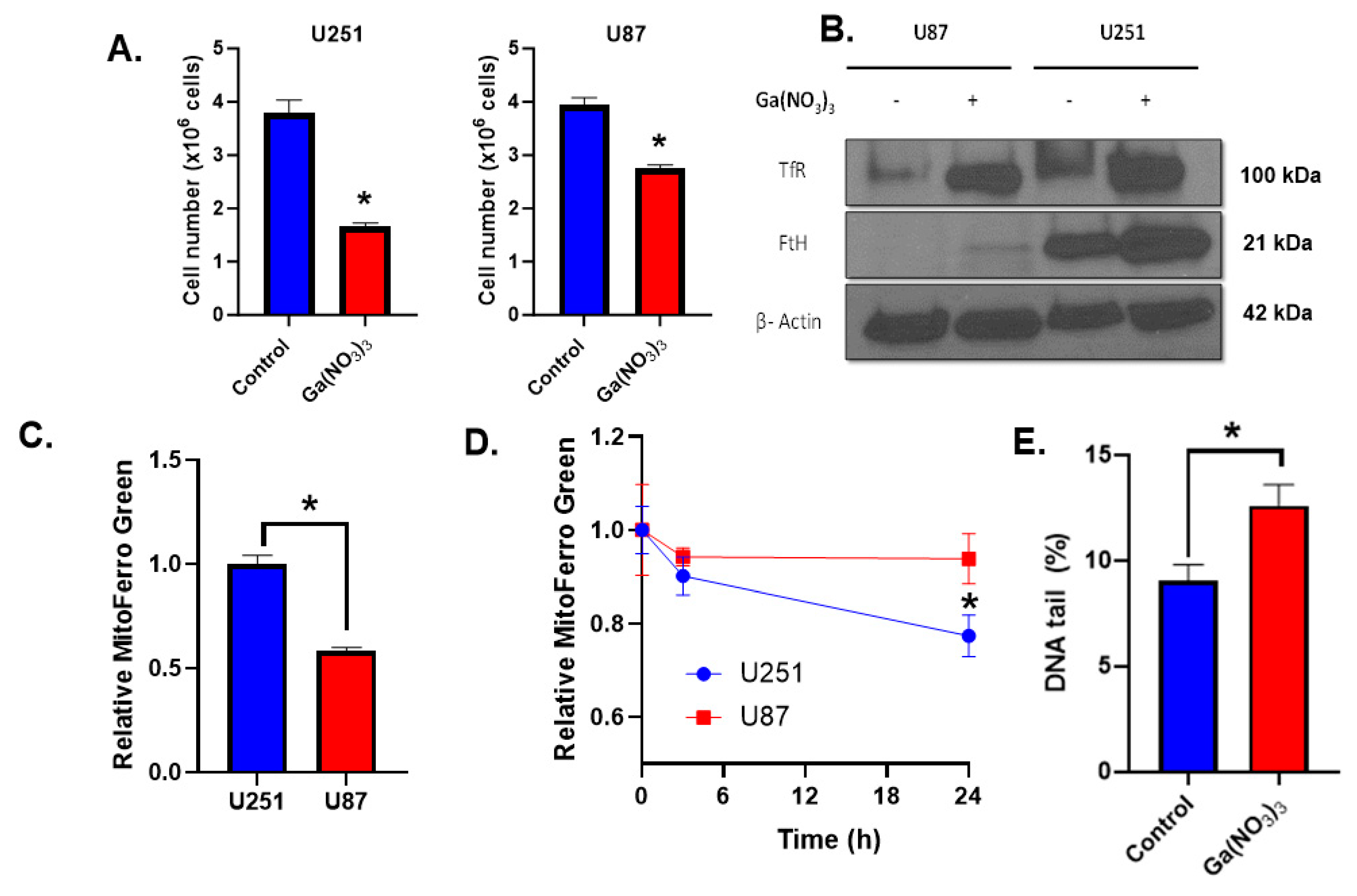 Ijms 25 10047 g001 Ijms 25 10047 g001