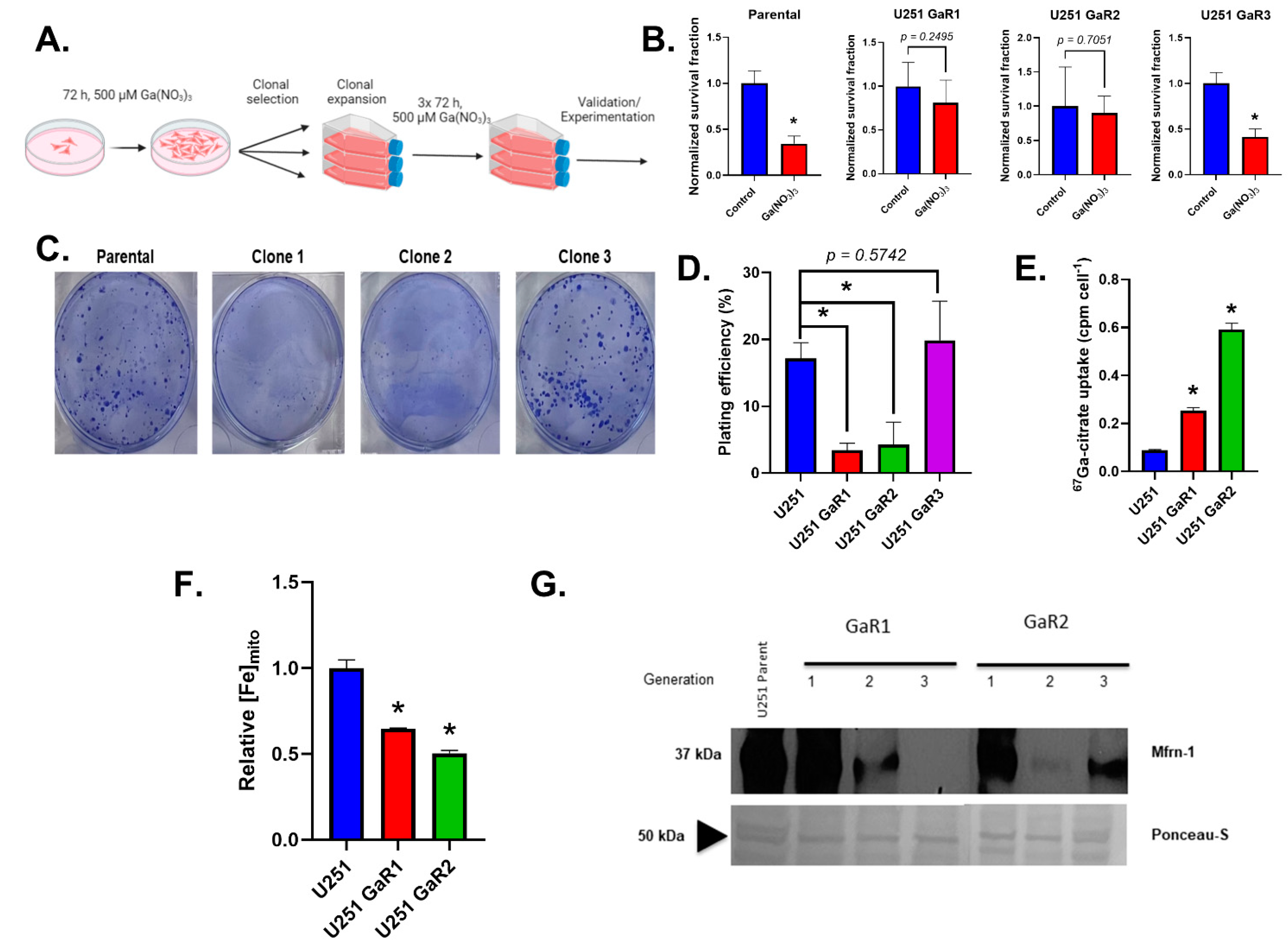 Ijms 25 10047 g002 Ijms 25 10047 g002