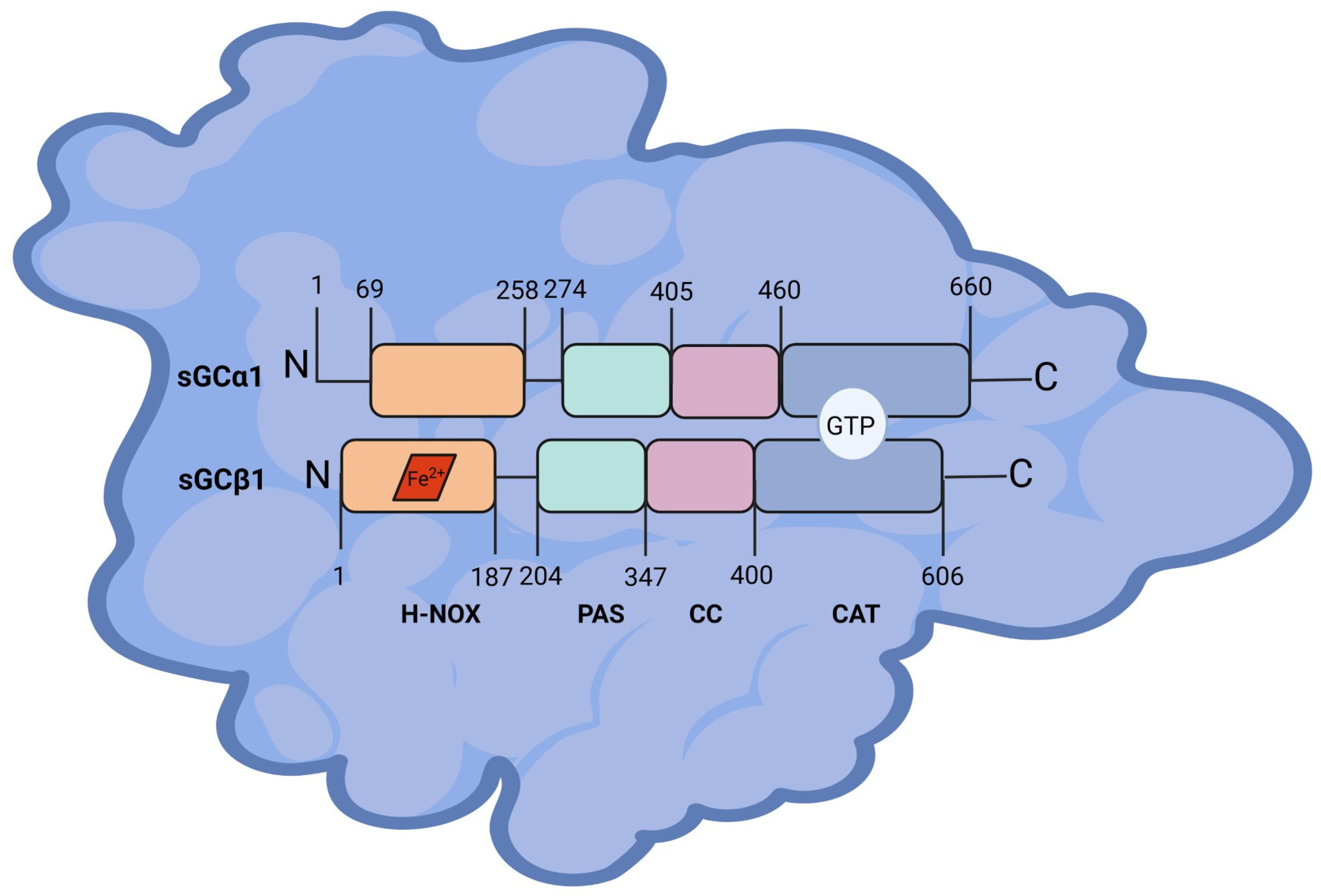 Ijms 25 10053 g001 Ijms 25 10053 g001