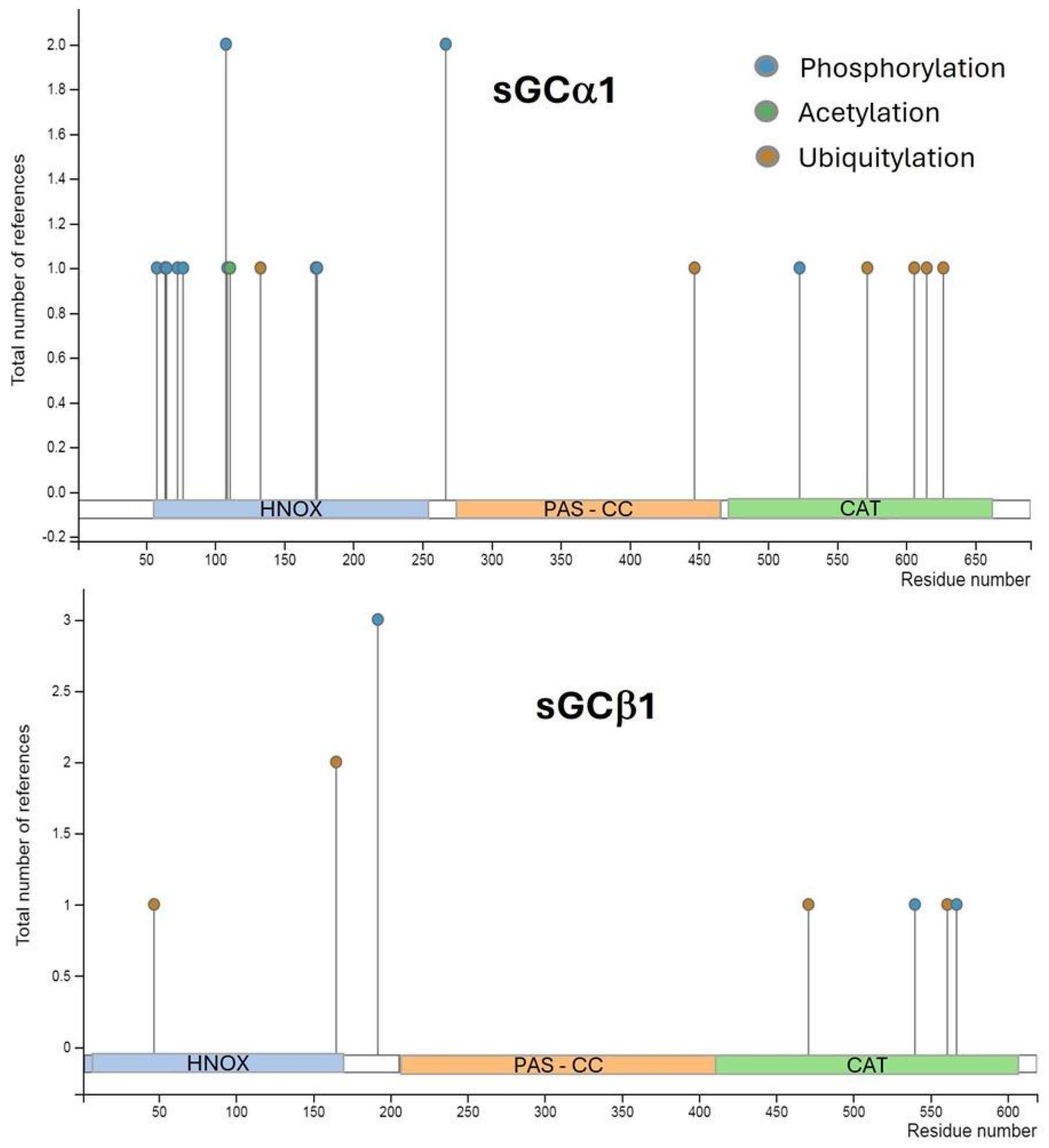 Ijms 25 10053 g002 Ijms 25 10053 g002
