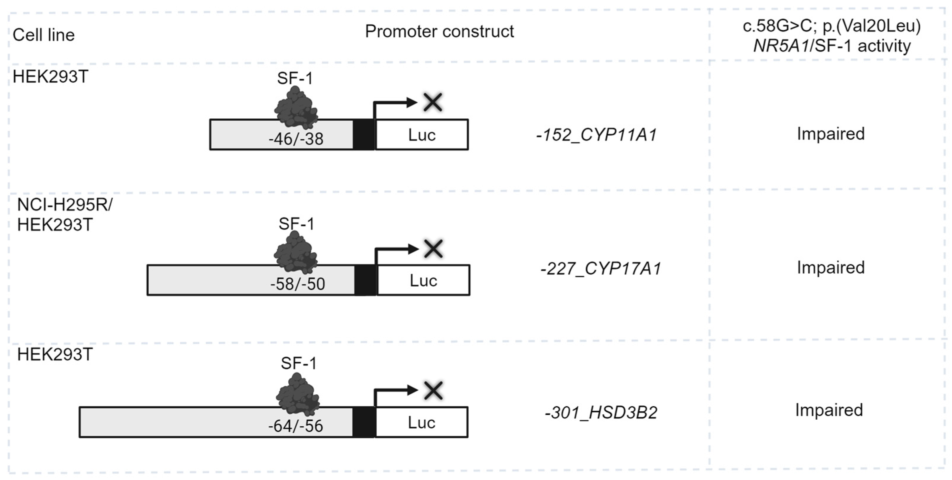 Ijms 25 10109 g001 Ijms 25 10109 g001