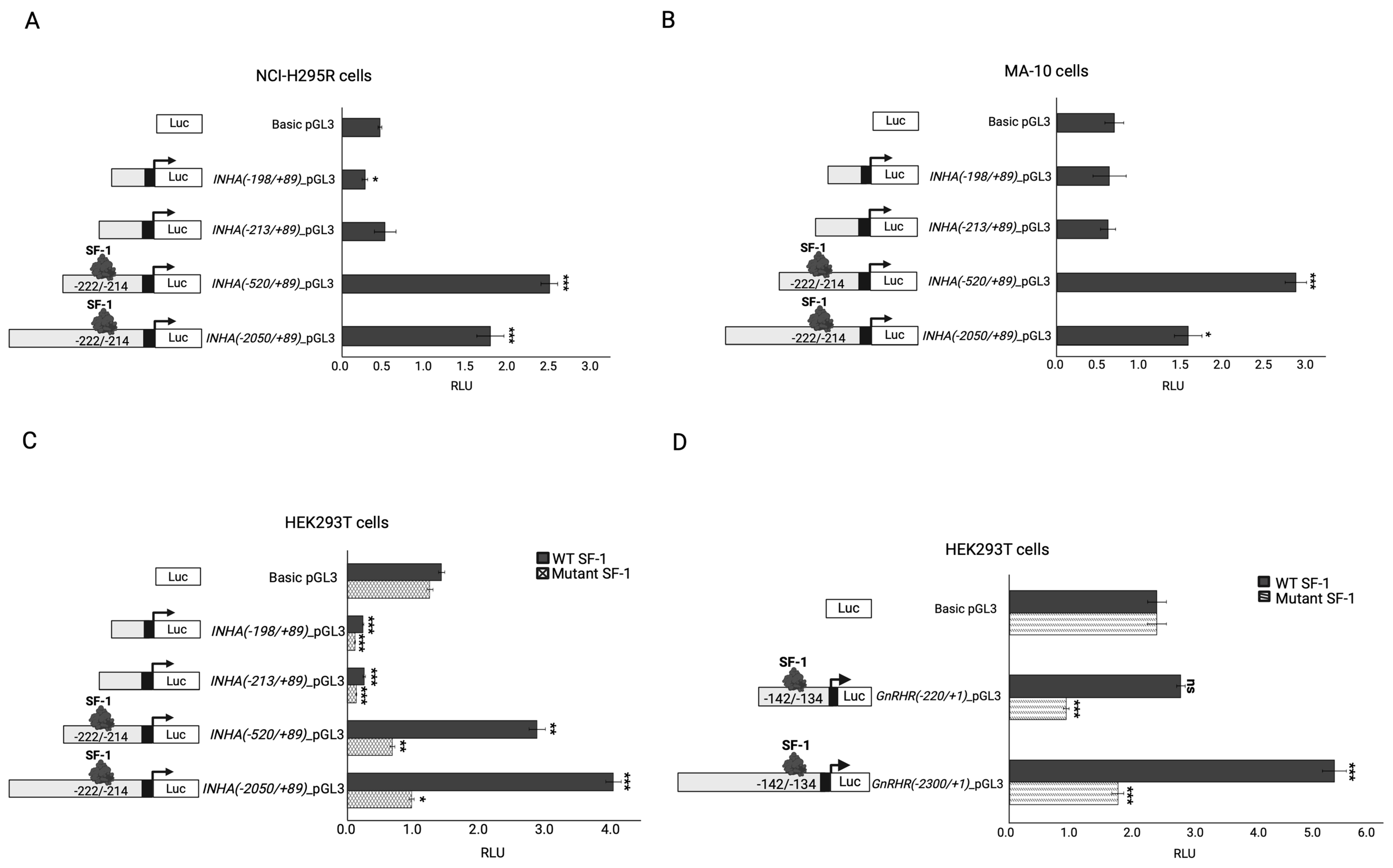 Ijms 25 10109 g002 Ijms 25 10109 g002