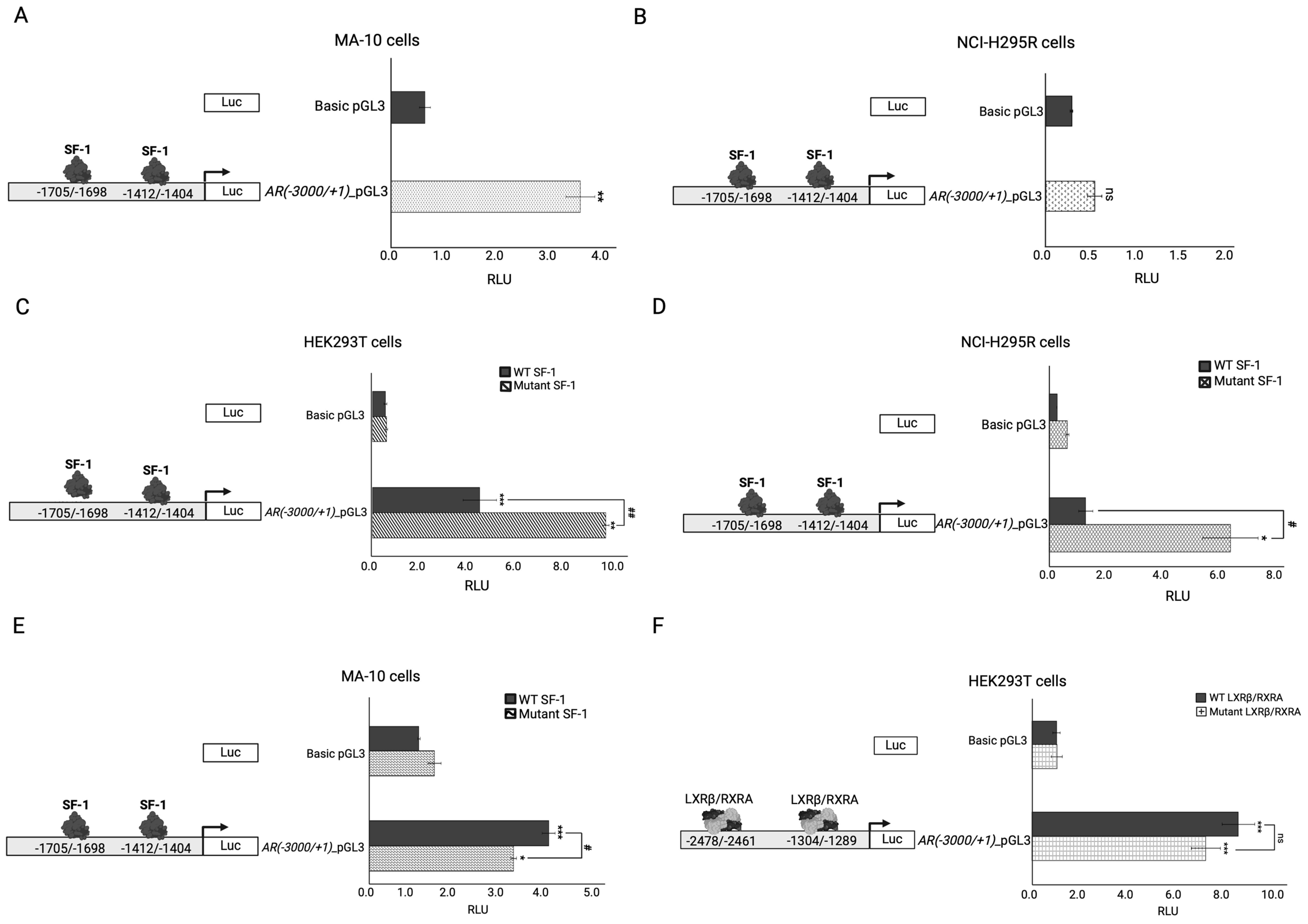Ijms 25 10109 g003 Ijms 25 10109 g003