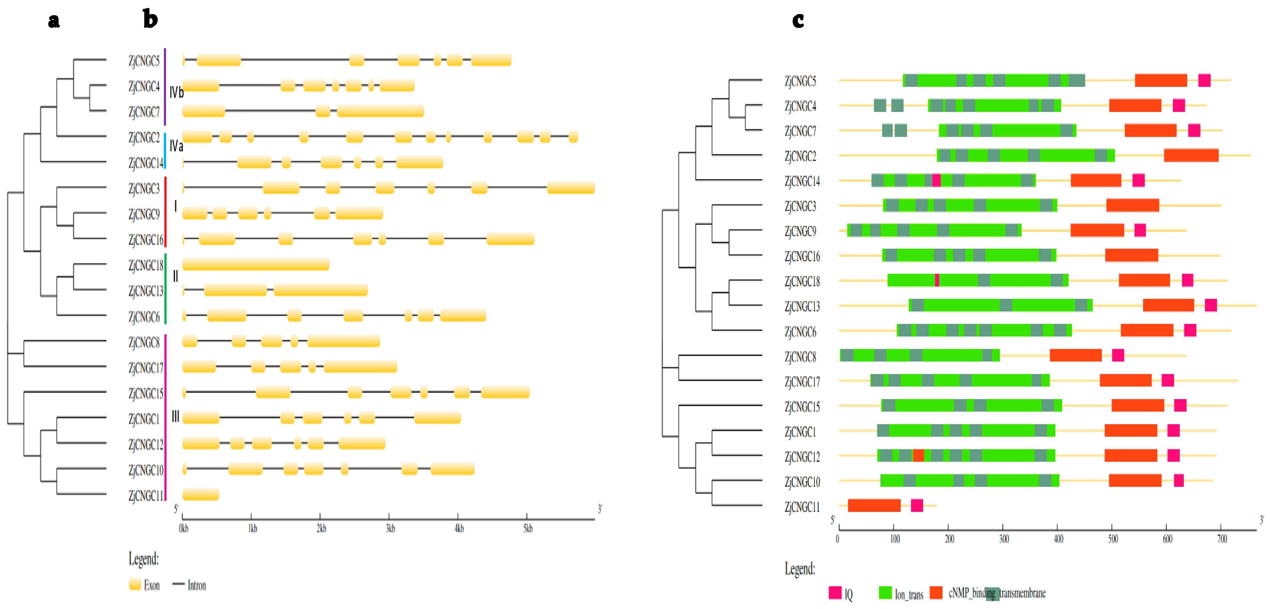 Ijms 25 10114 g002 Ijms 25 10114 g002
