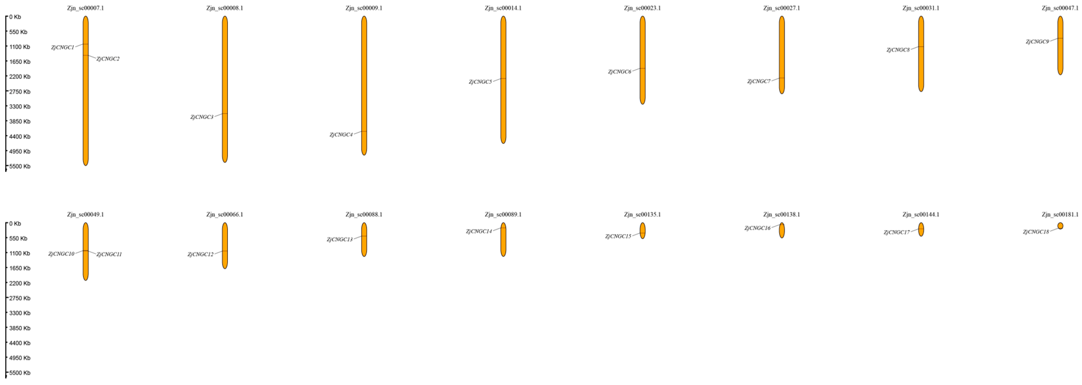 Ijms 25 10114 g003 Ijms 25 10114 g003