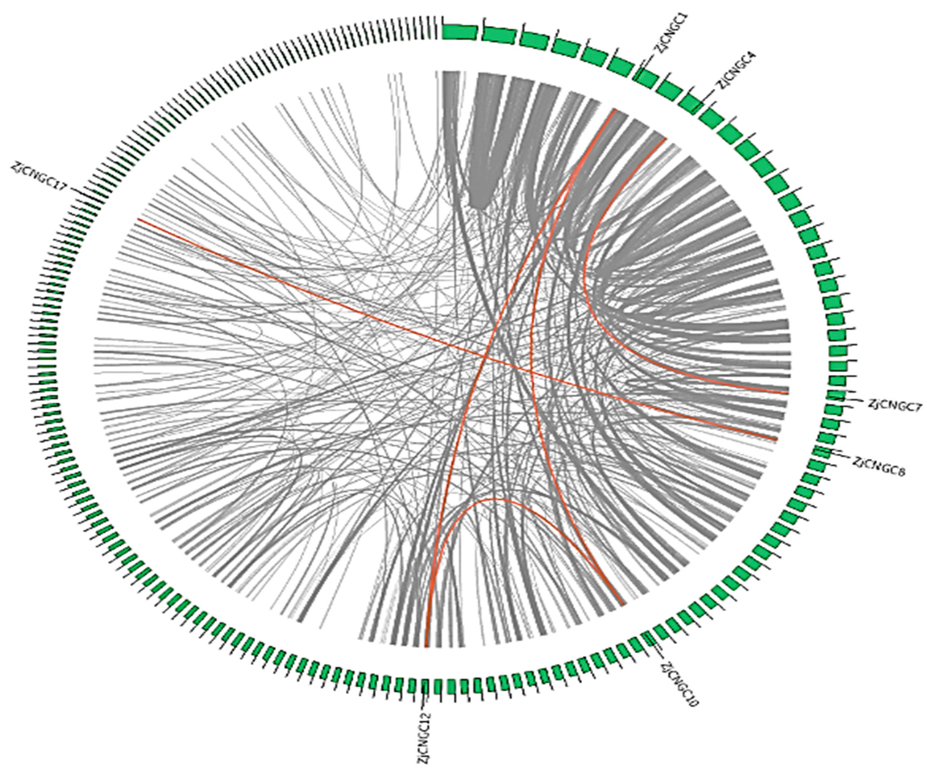 Ijms 25 10114 g004 Ijms 25 10114 g004