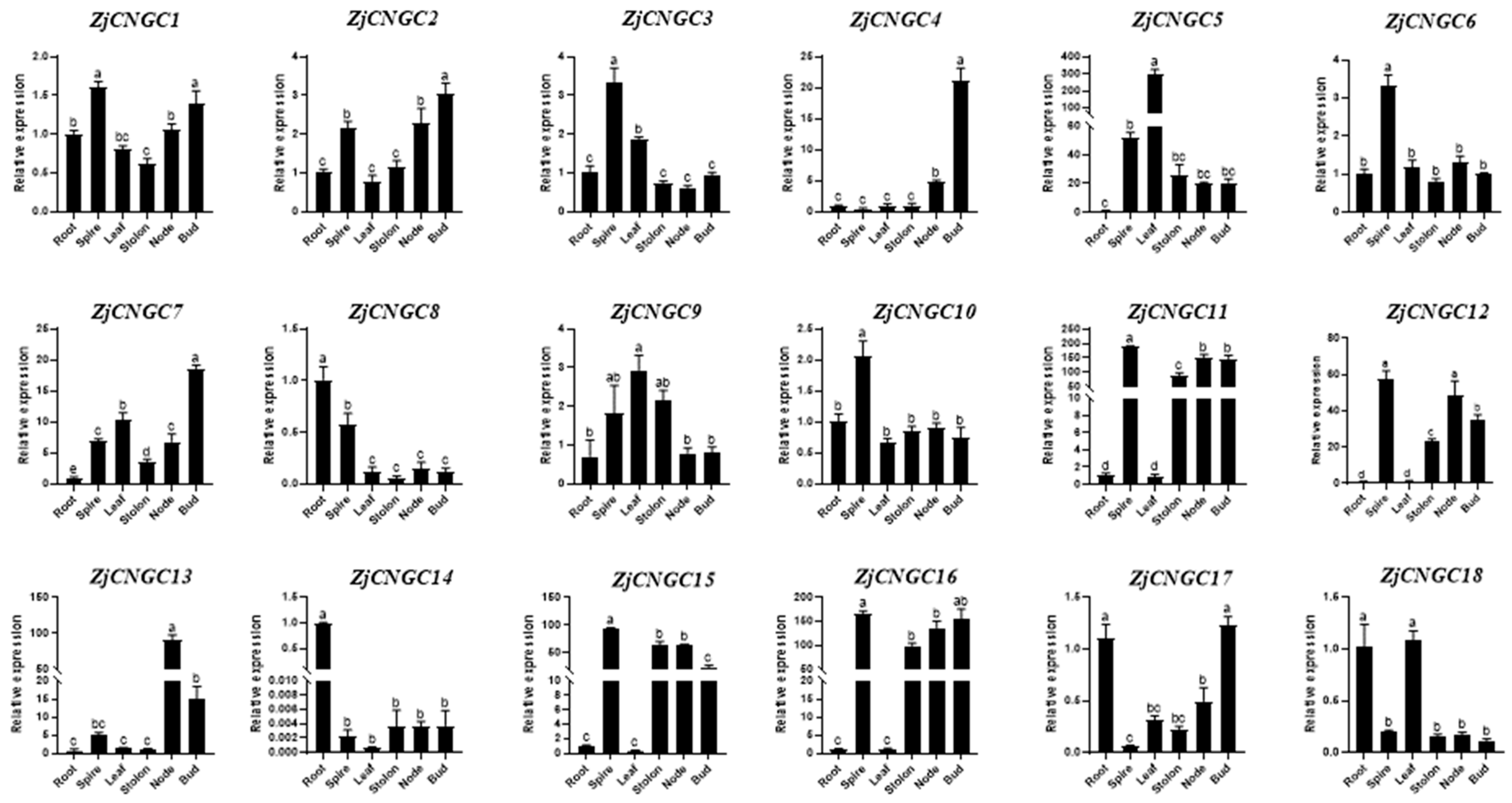 Ijms 25 10114 g007 Ijms 25 10114 g007
