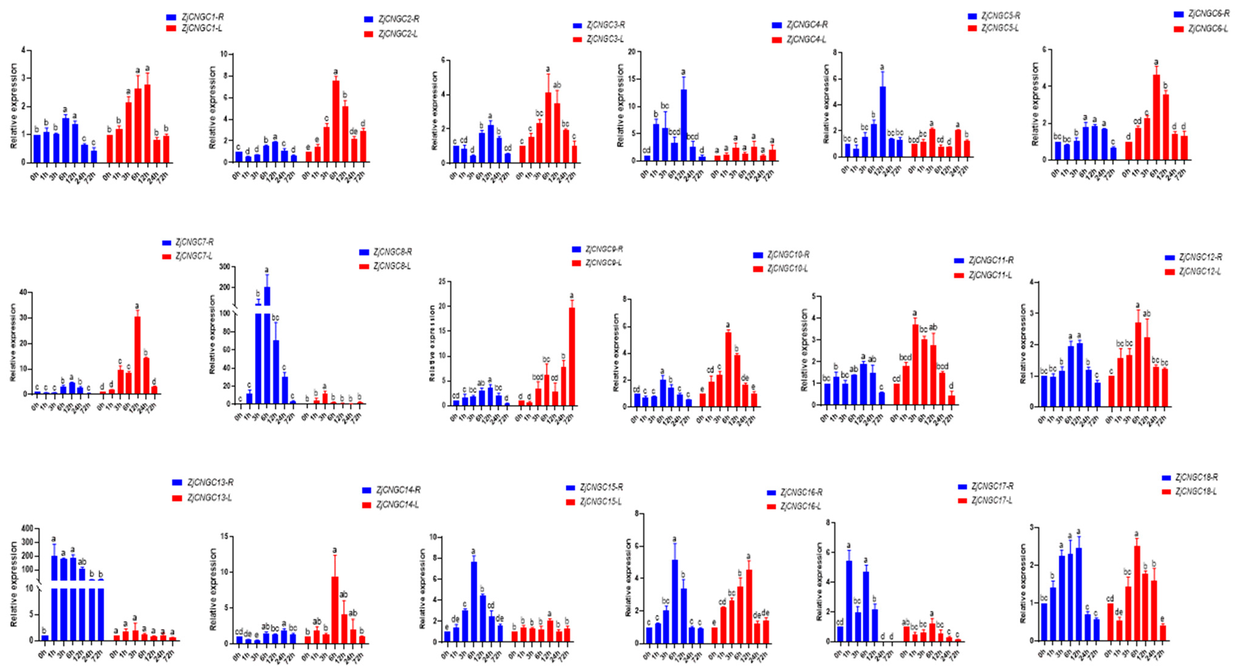 Ijms 25 10114 g008 Ijms 25 10114 g008