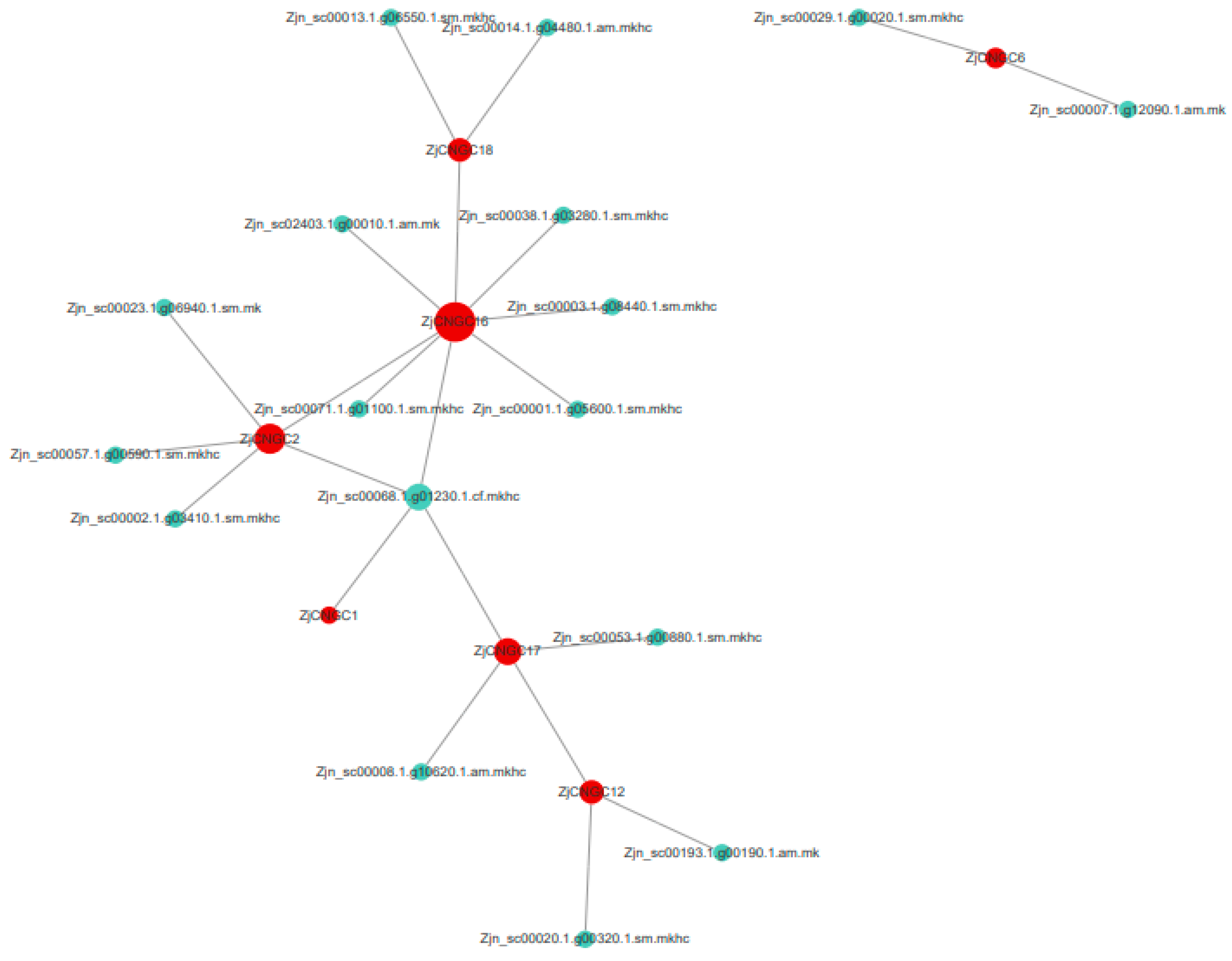 Ijms 25 10114 g009 Ijms 25 10114 g009