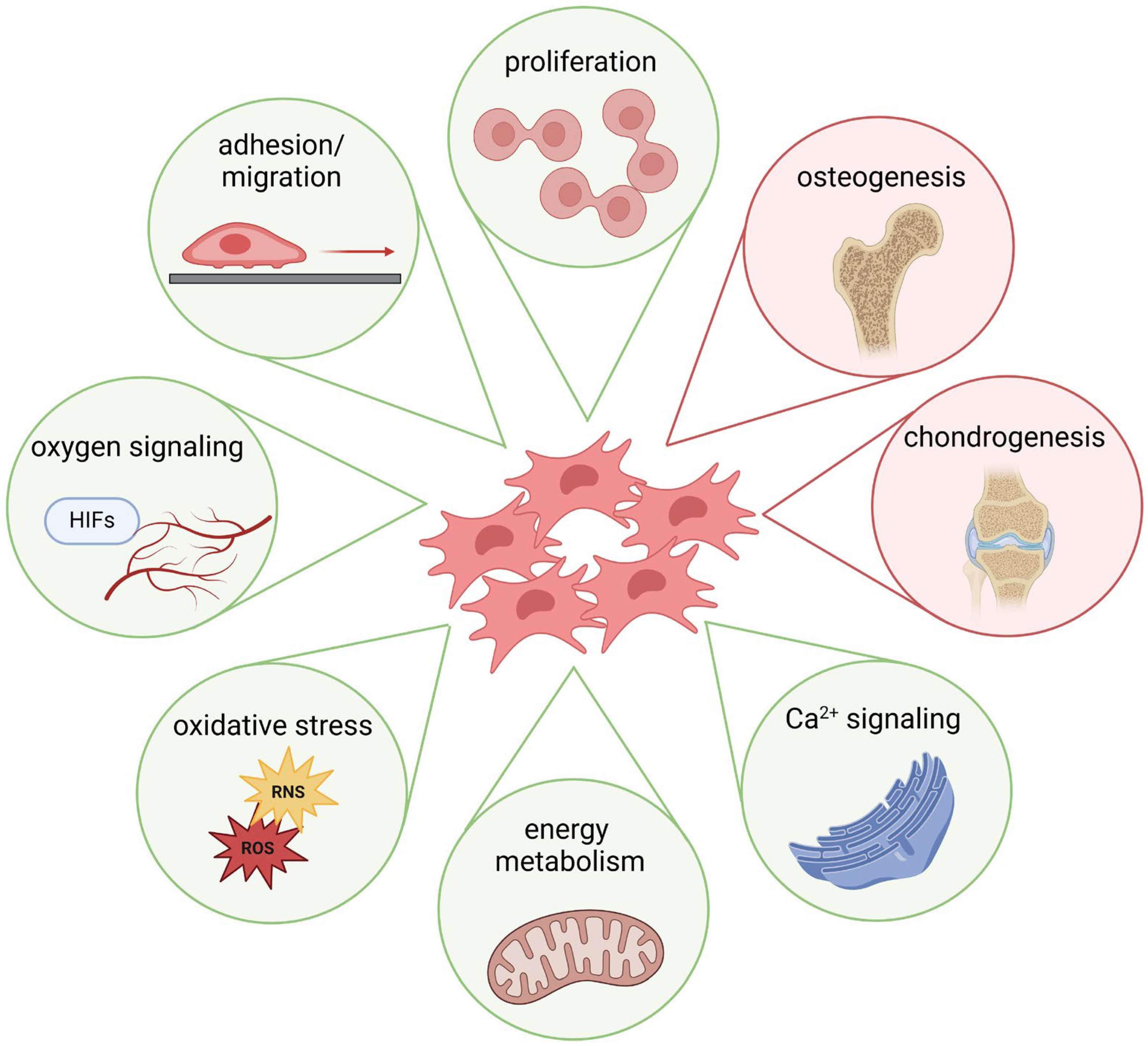 Ijms 25 10127 g002 Ijms 25 10127 g002