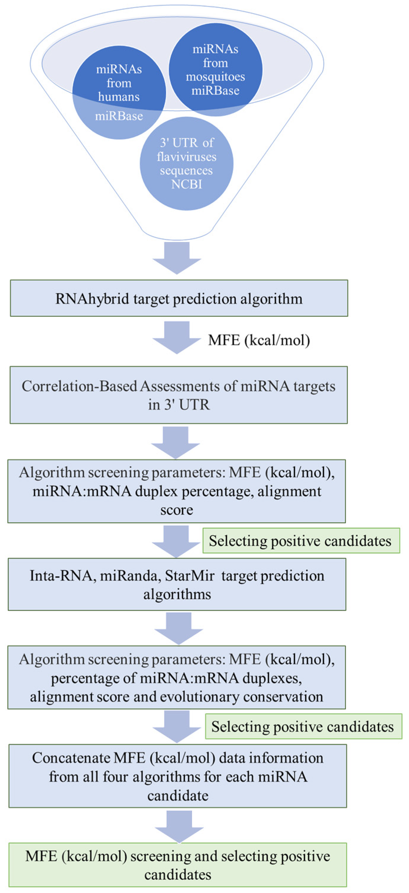 Computational Screening to Predict MicroRNA Targets in the 