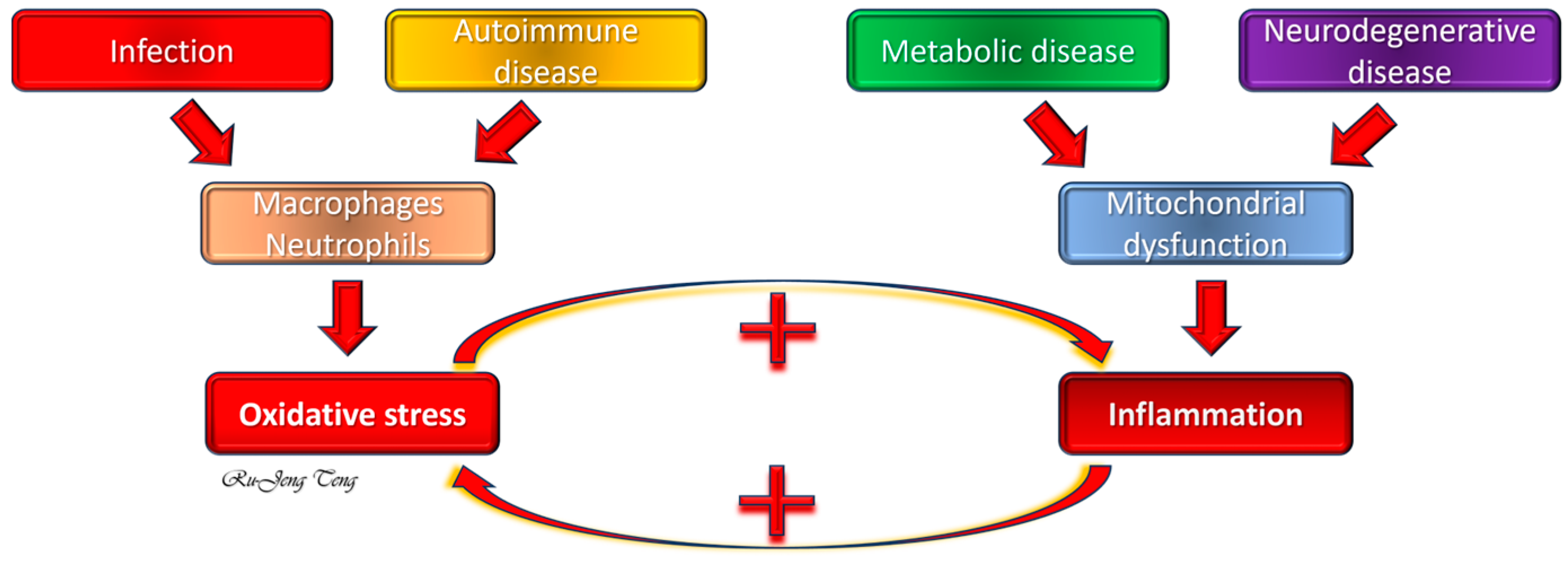 Ijms 25 10145 g001 Ijms 25 10145 g001