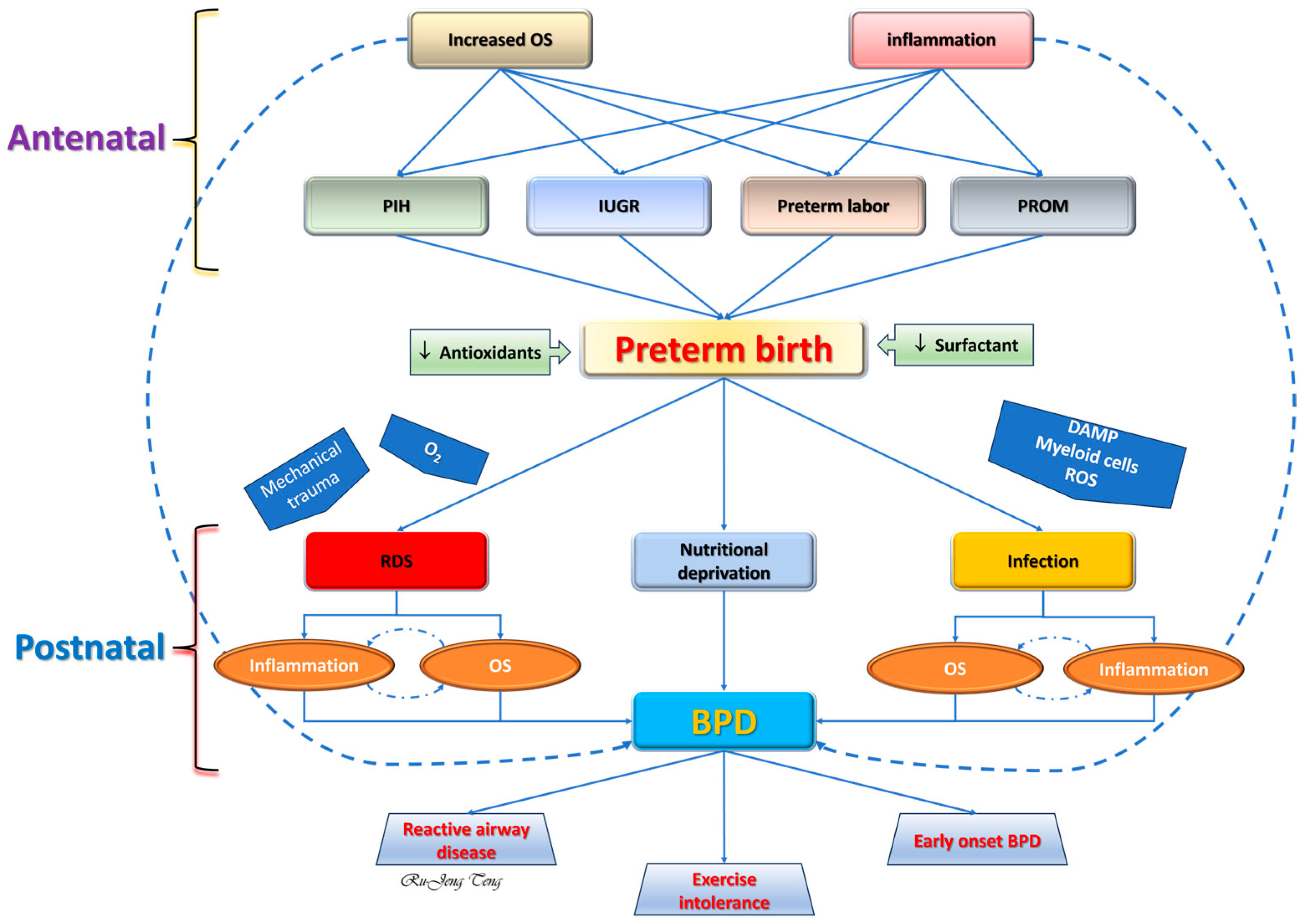 Ijms 25 10145 g002 Ijms 25 10145 g002