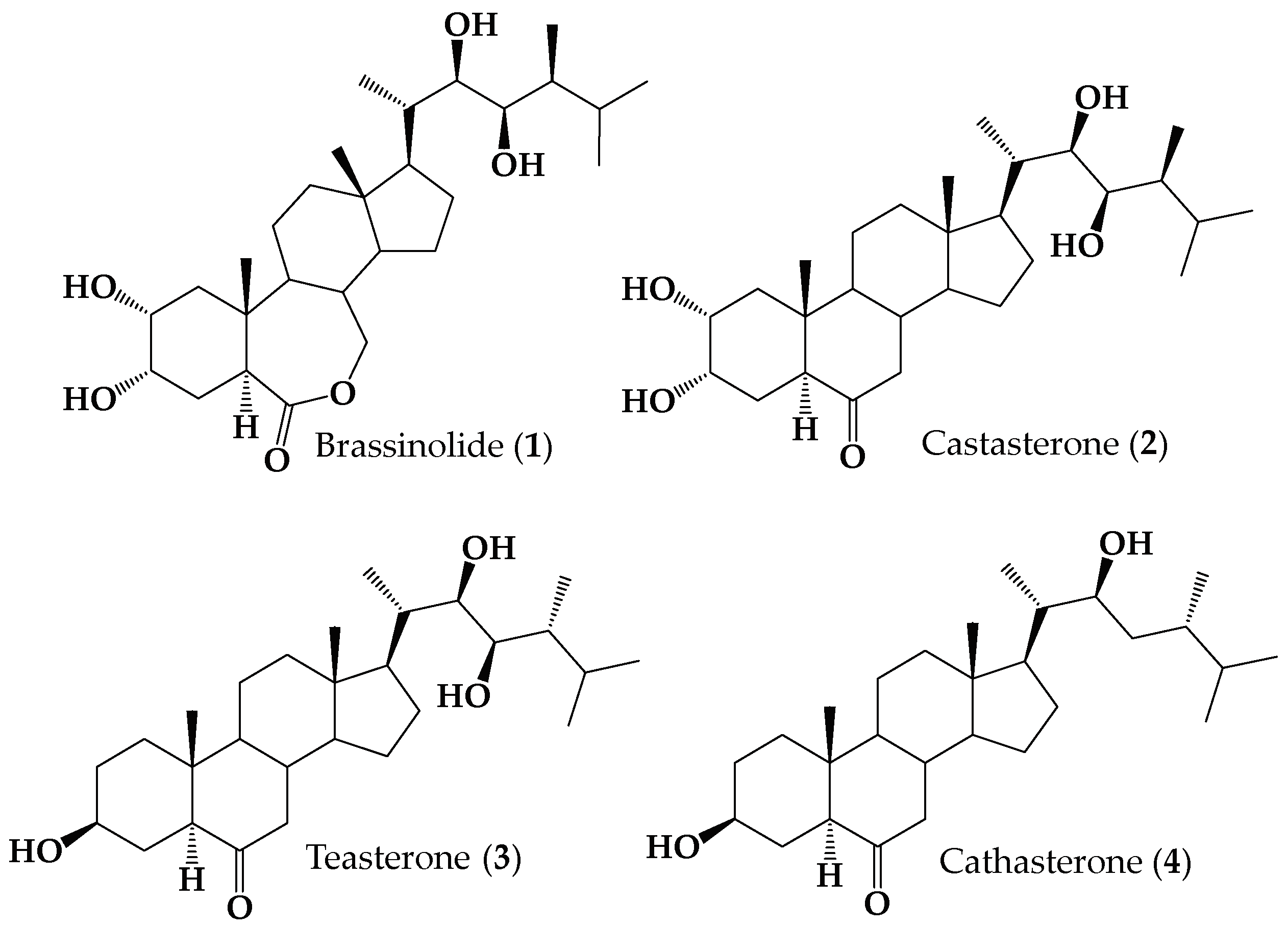 Ijms 25 10158 g001 Ijms 25 10158 g001