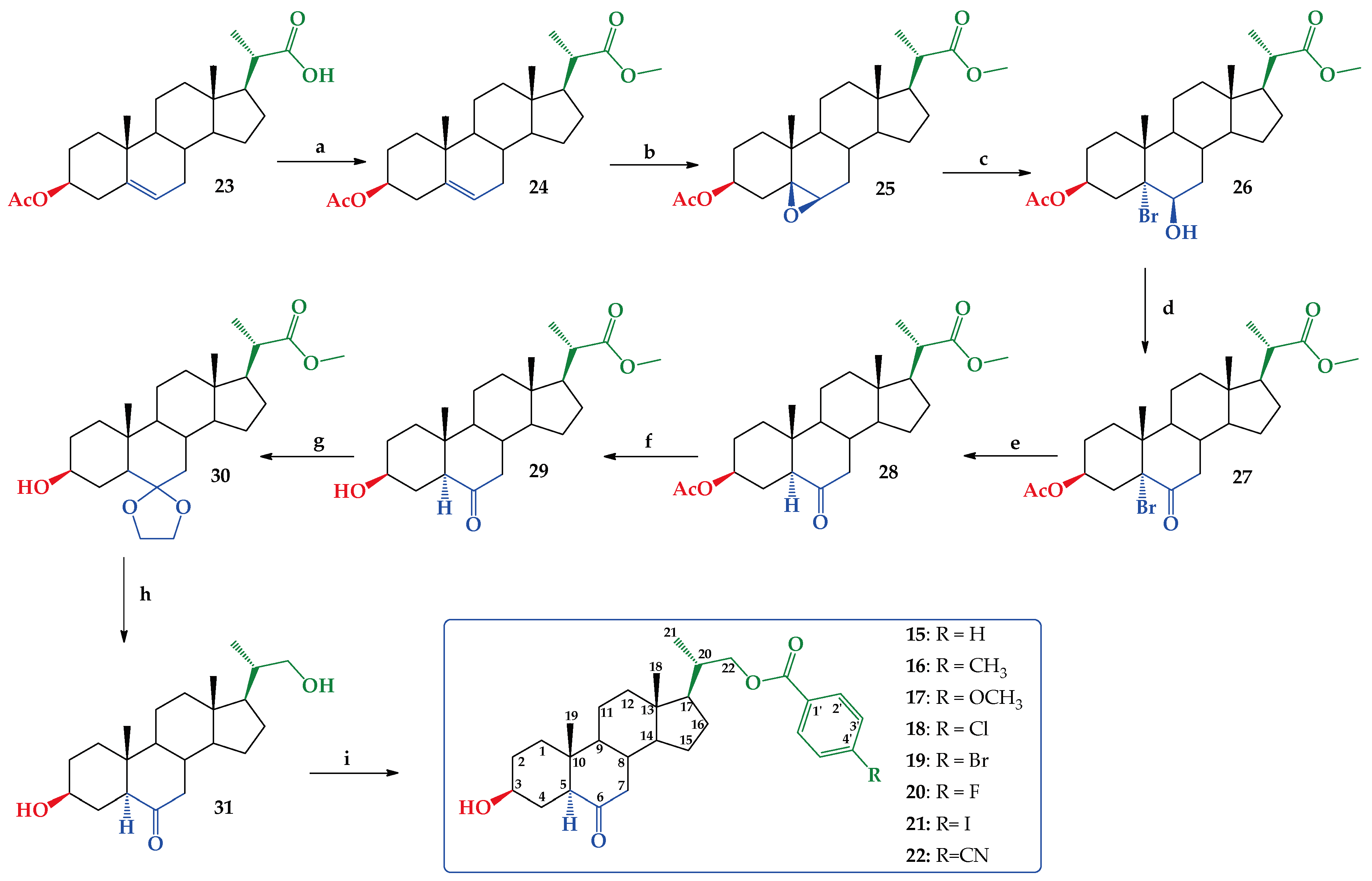 Ijms 25 10158 g003 Ijms 25 10158 g003