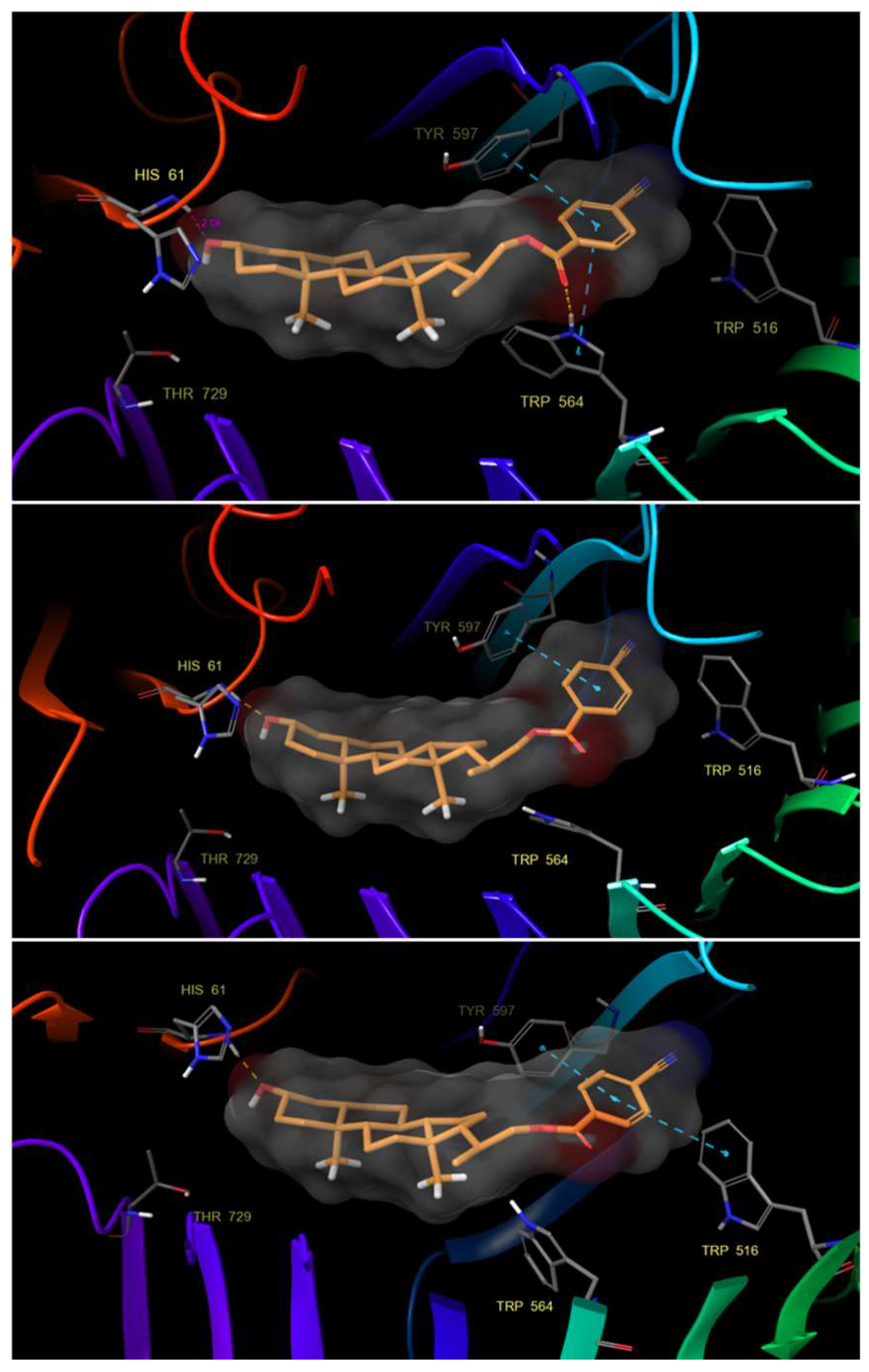 Ijms 25 10158 g007 Ijms 25 10158 g007