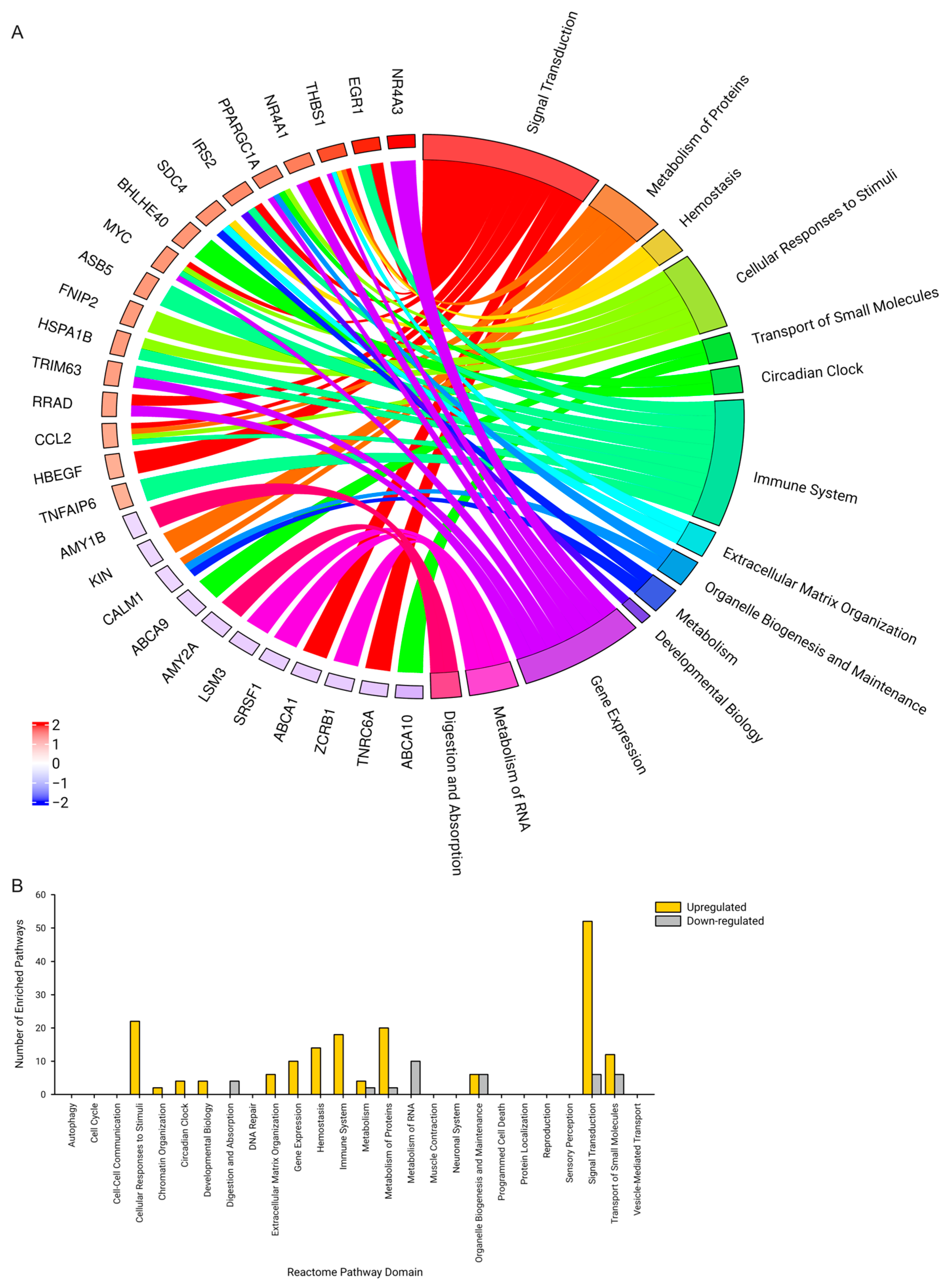 Ijms 25 10189 g002 Ijms 25 10189 g002