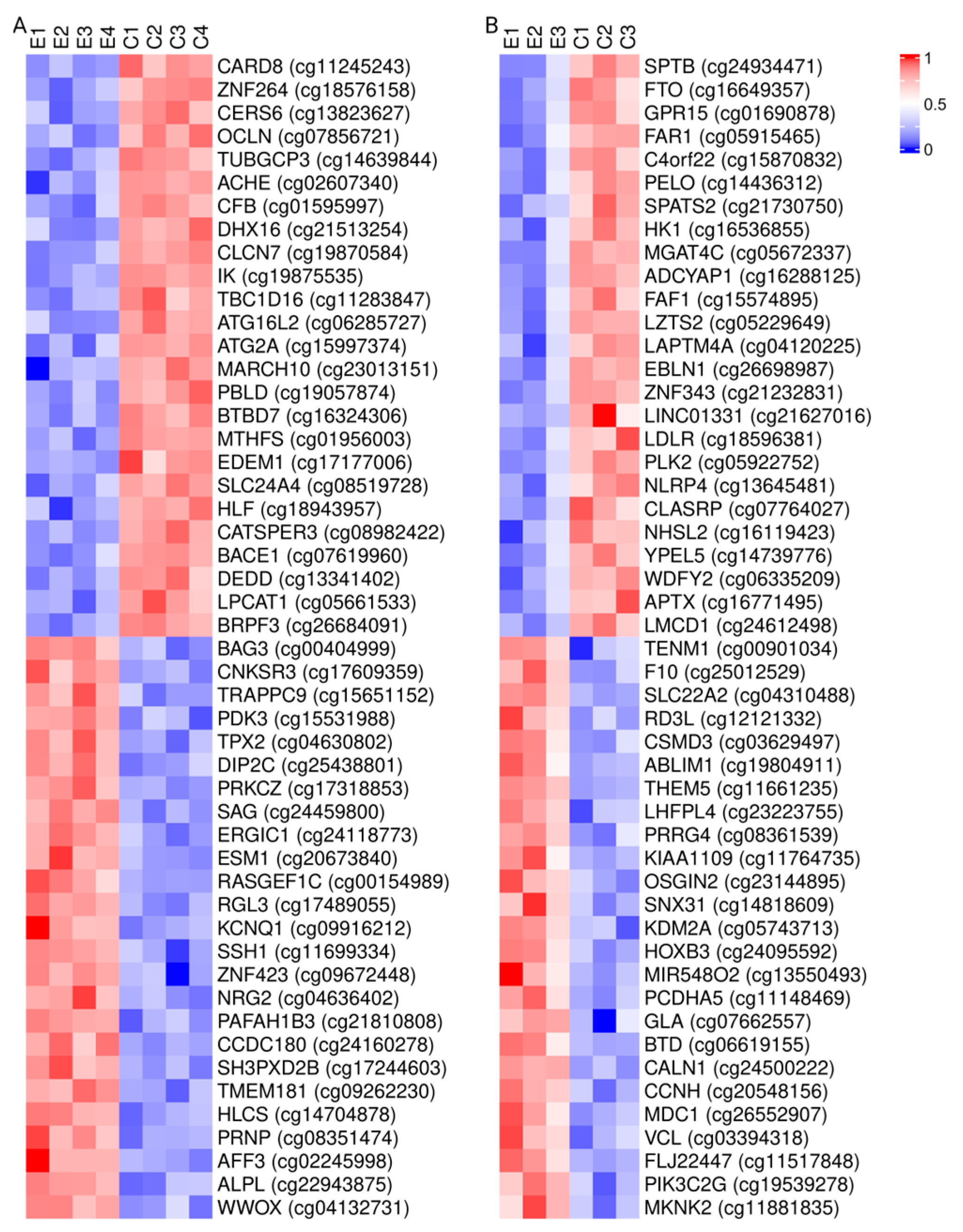 Ijms 25 10189 g005 Ijms 25 10189 g005