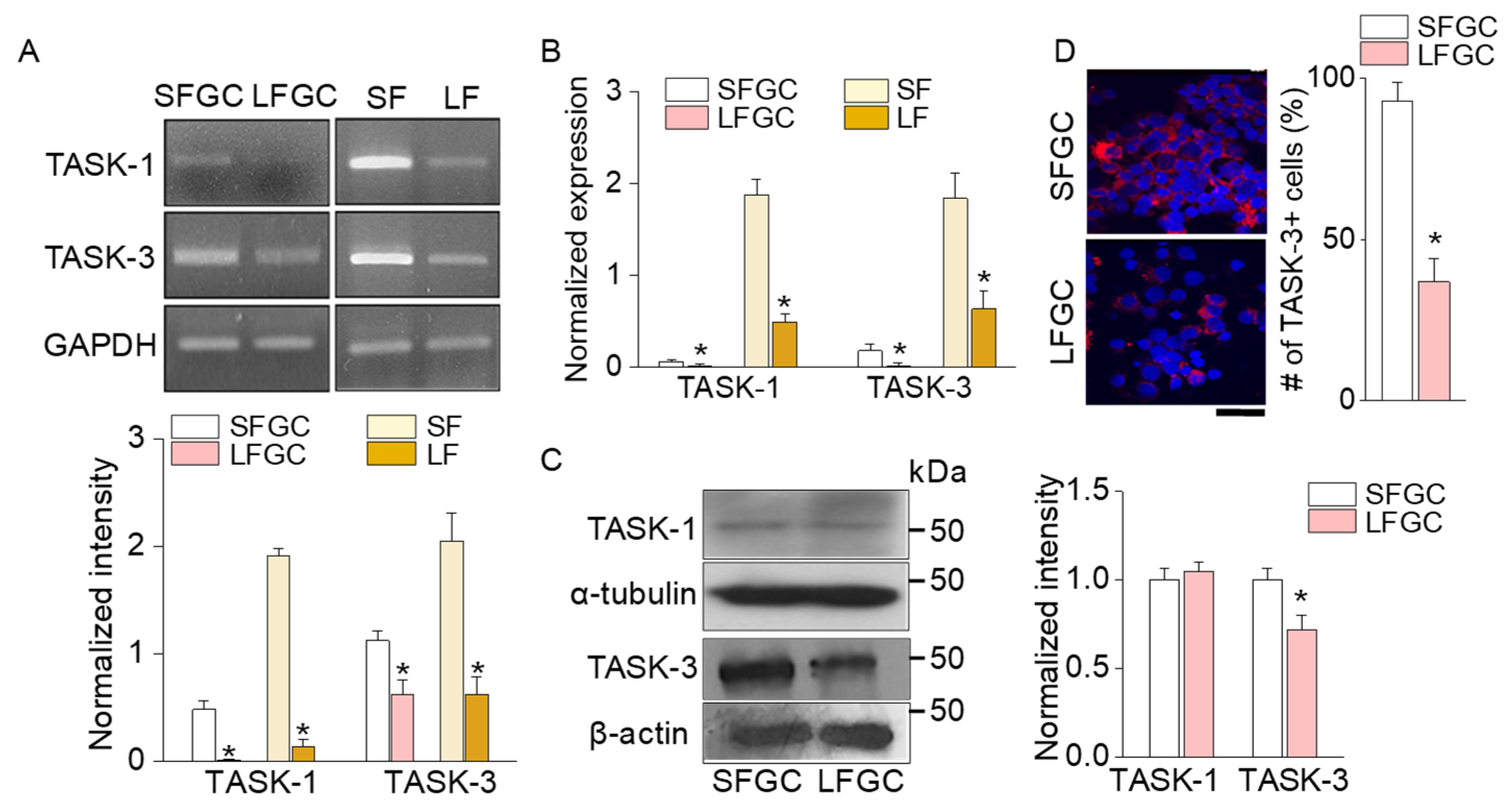Ijms 25 10199 g002 Ijms 25 10199 g002