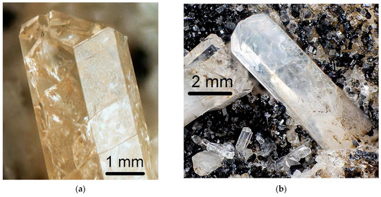 Structural Features, Chemical Diversity, and Physical