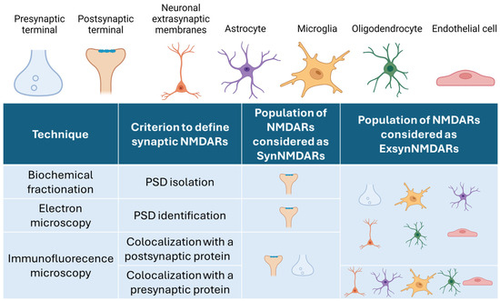 NMDARs in Alzheimer's Disease: Between Synaptic and