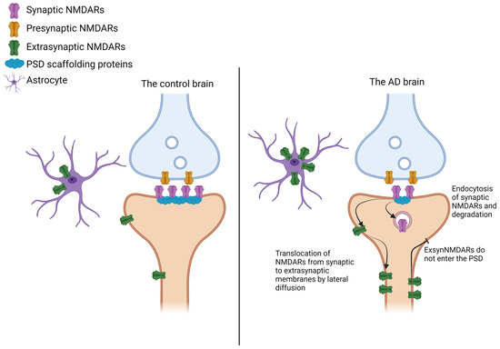 ビオラ NMDARs in Alzheimer's Disease: Between Synaptic and