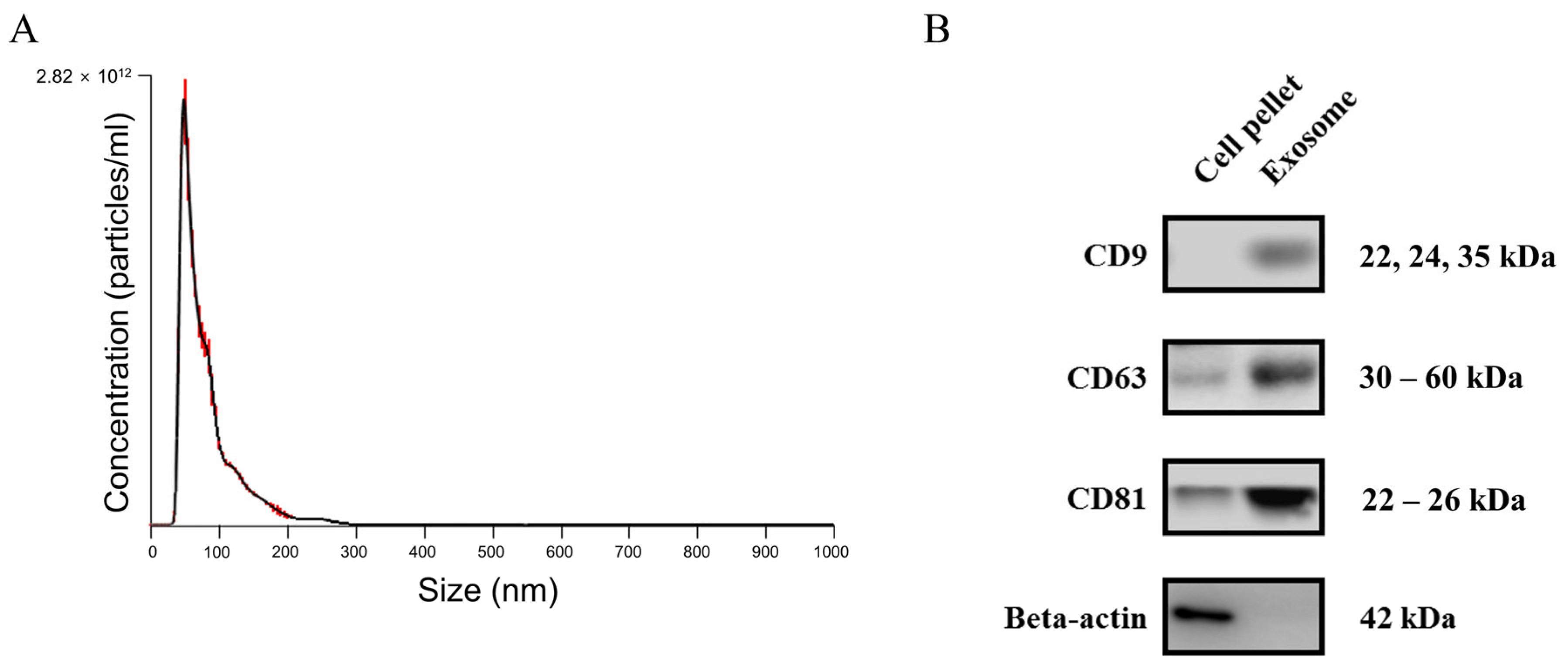 Ijms 25 10223 g001 Ijms 25 10223 g001