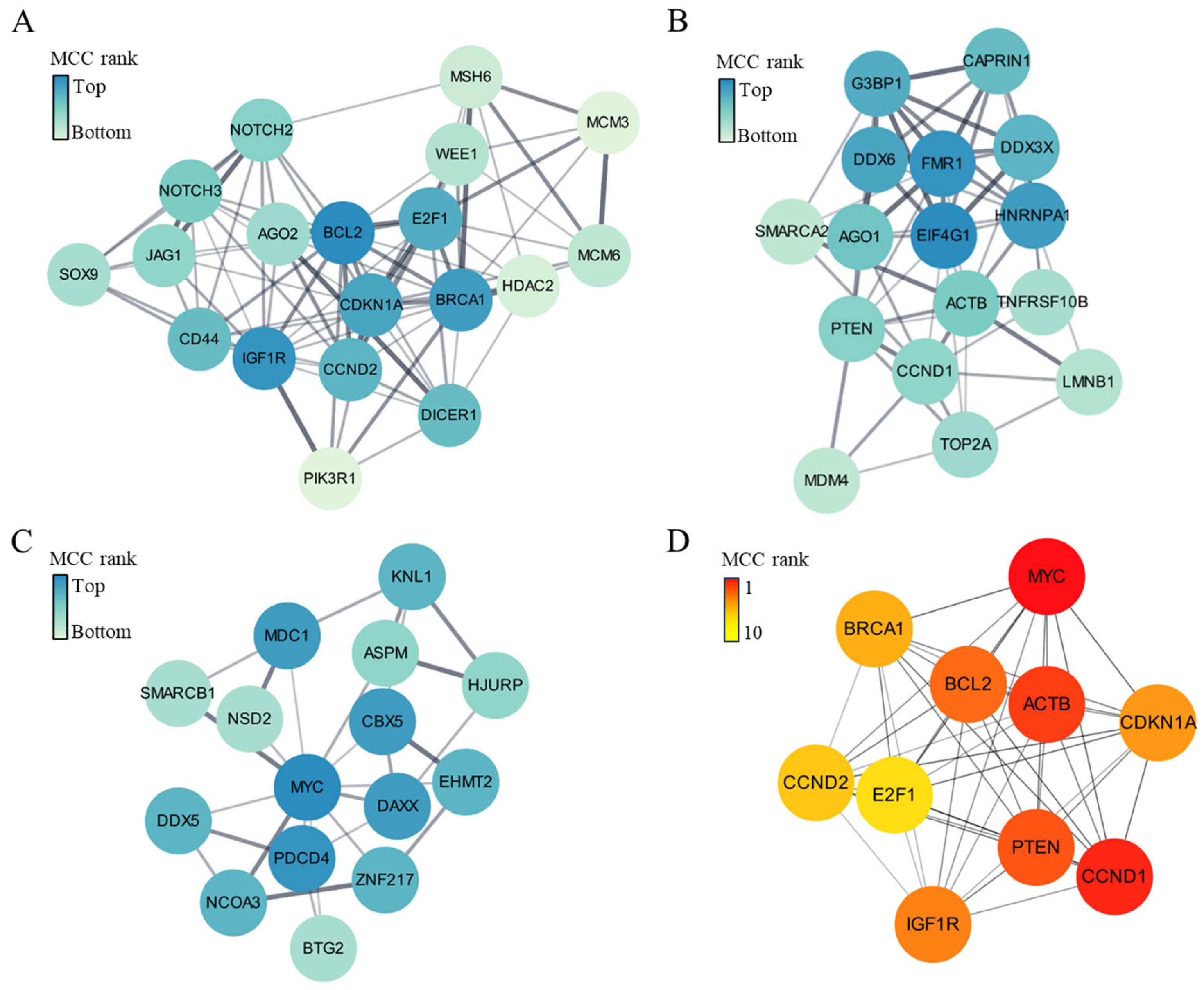Ijms 25 10223 g004 Ijms 25 10223 g004